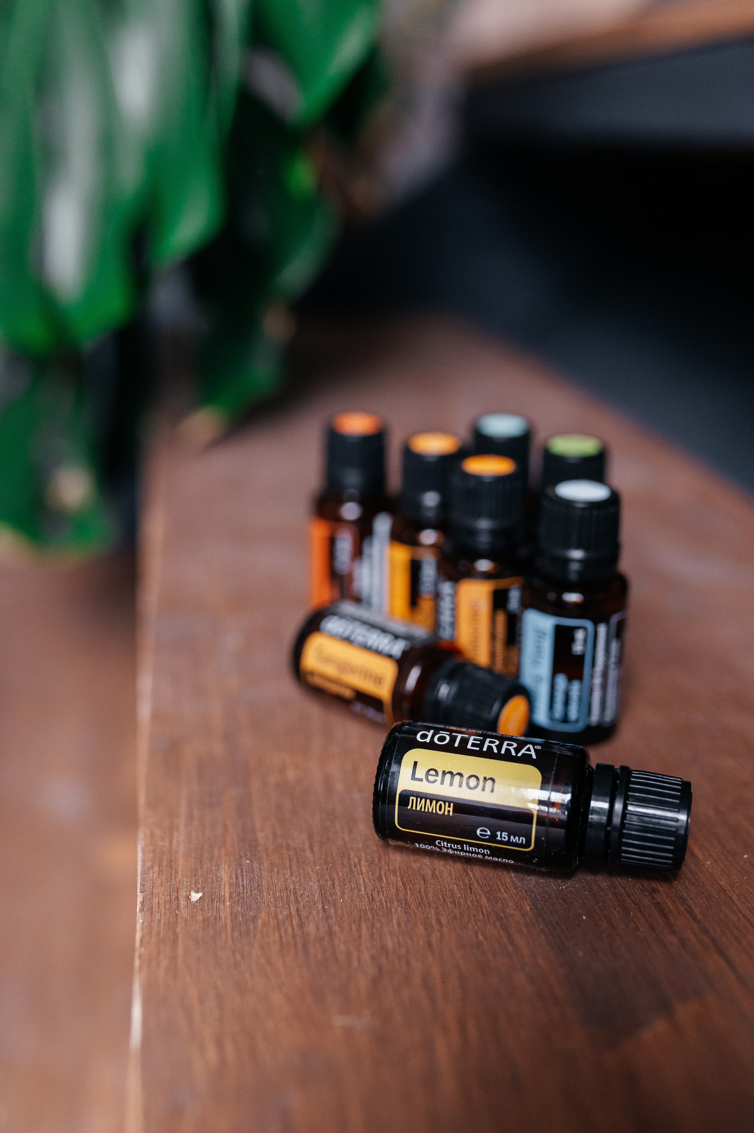 Елена масла Dottera/психолог. Семейный и детский фотограф в Туле