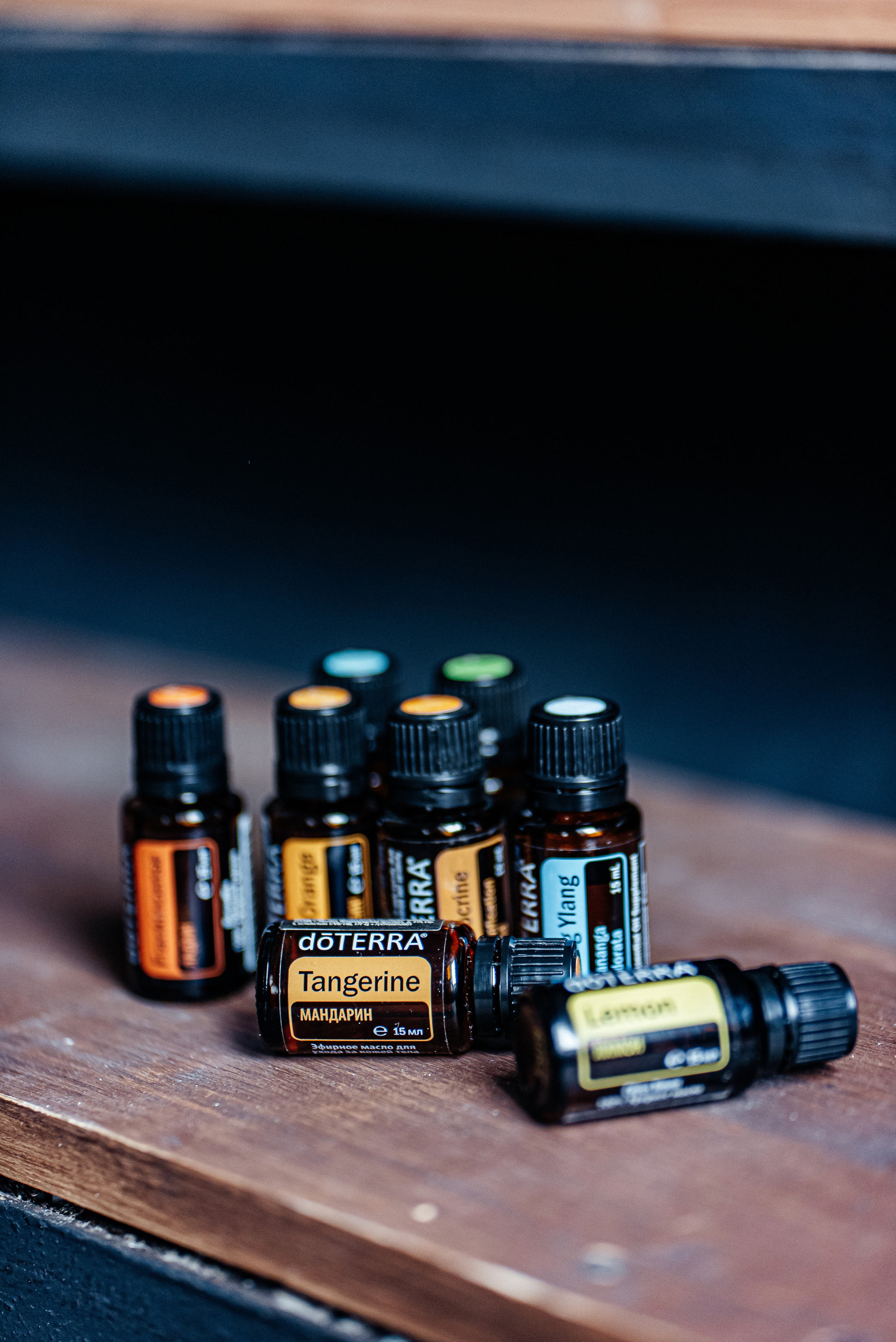 Елена масла Dottera/психолог. Семейный и детский фотограф в Туле