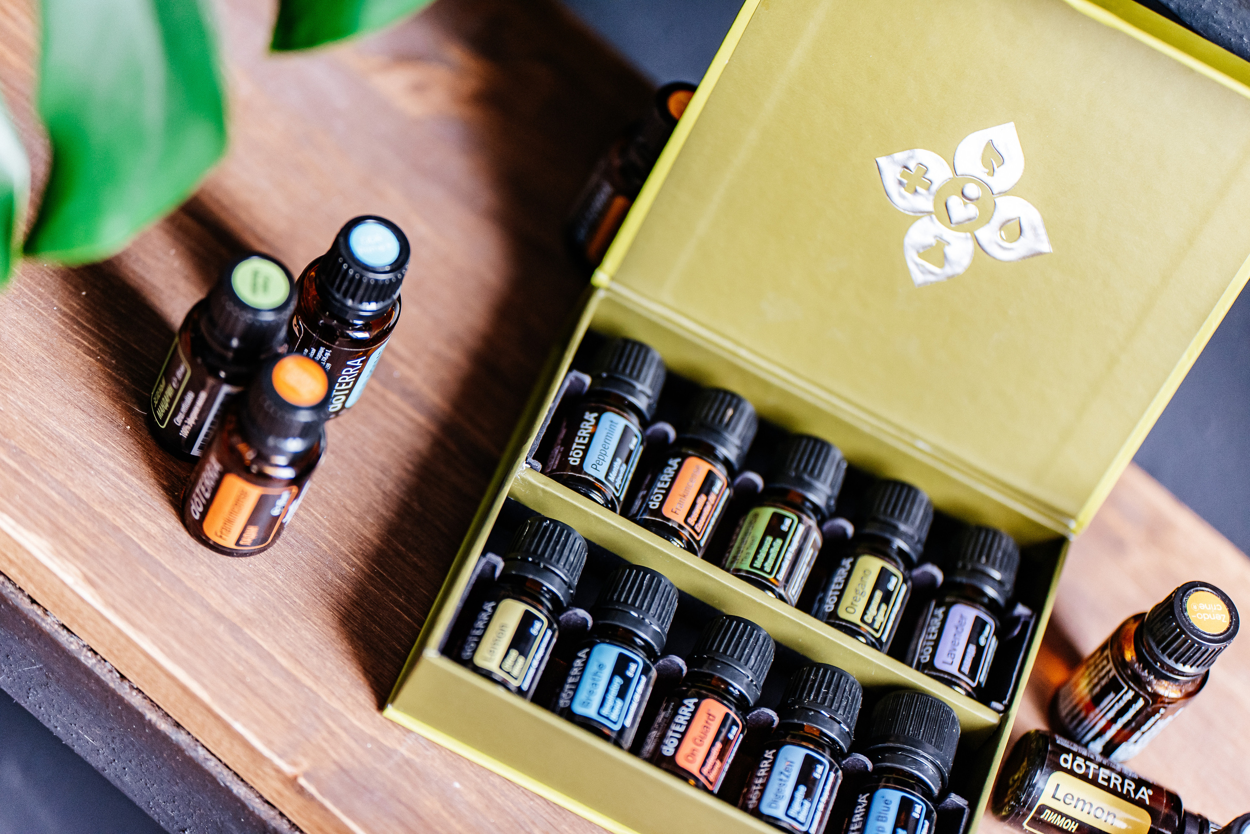 Елена масла Dottera/психолог. Семейный и детский фотограф в Туле