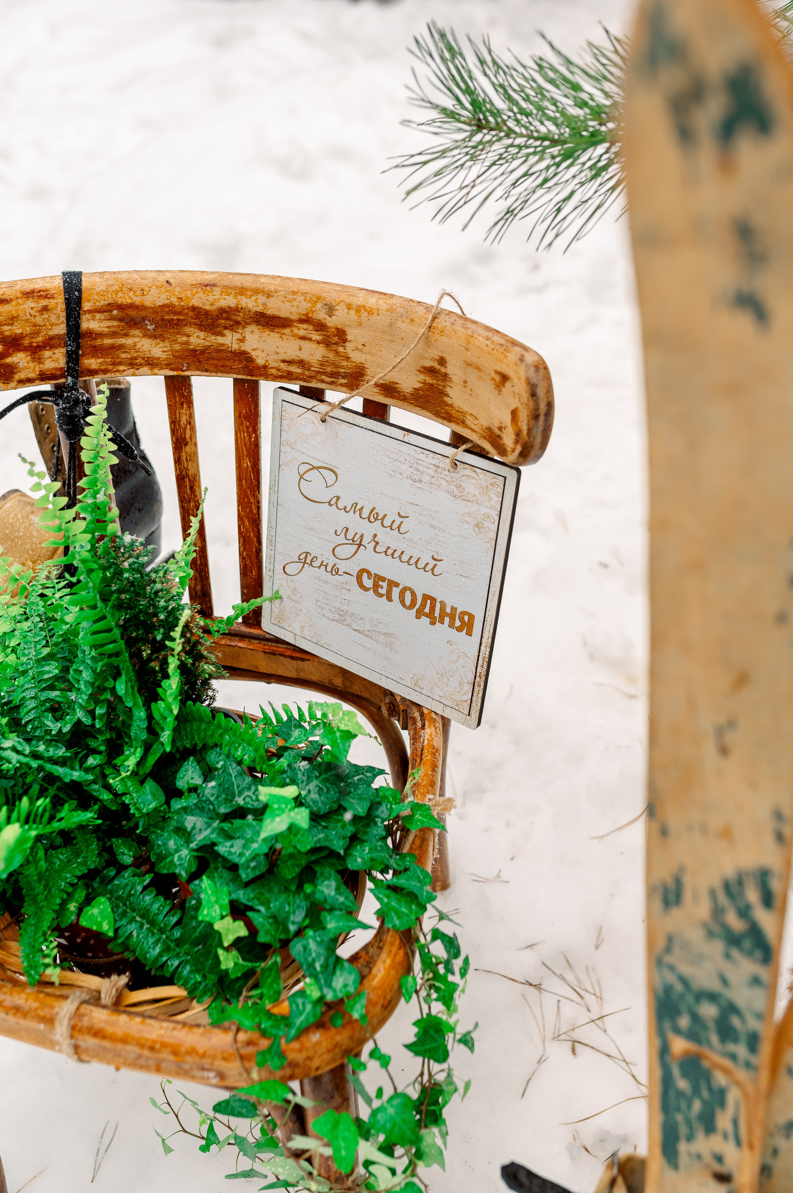 Фотодень. Семейный и детский фотограф в Туле