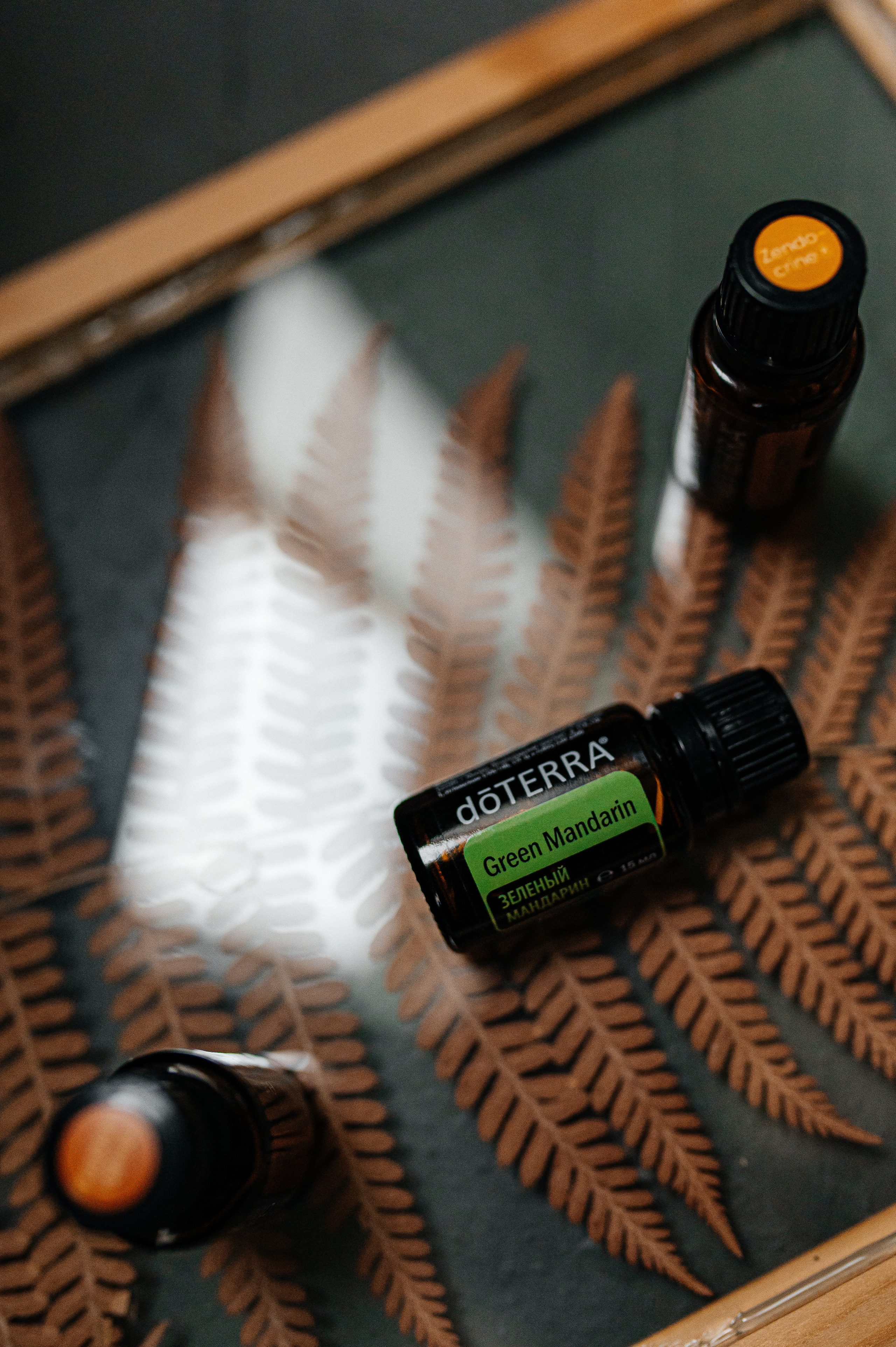 Елена масла Dottera/психолог. Семейный и детский фотограф в Туле