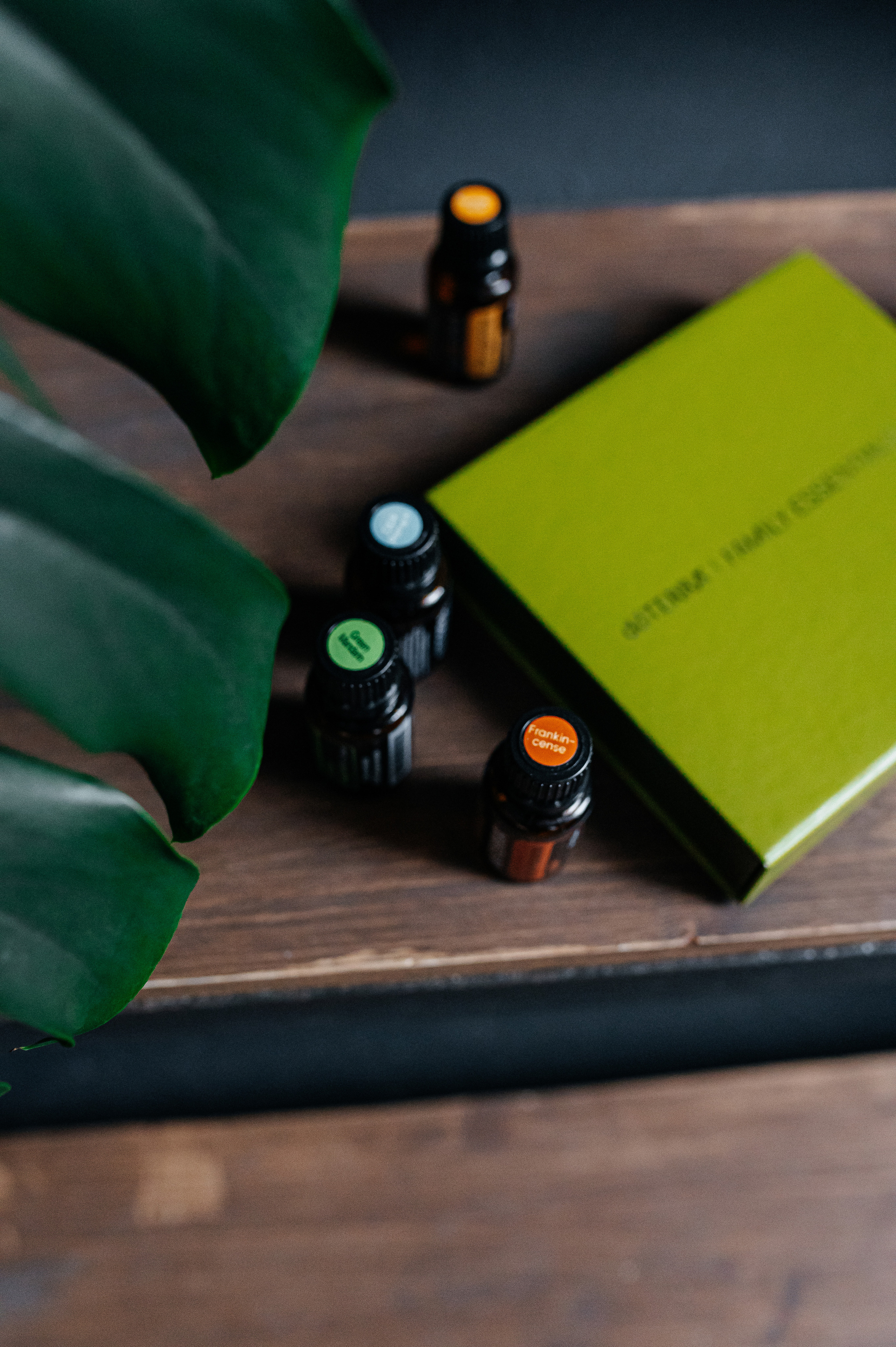 Елена масла Dottera/психолог. Семейный и детский фотограф в Туле