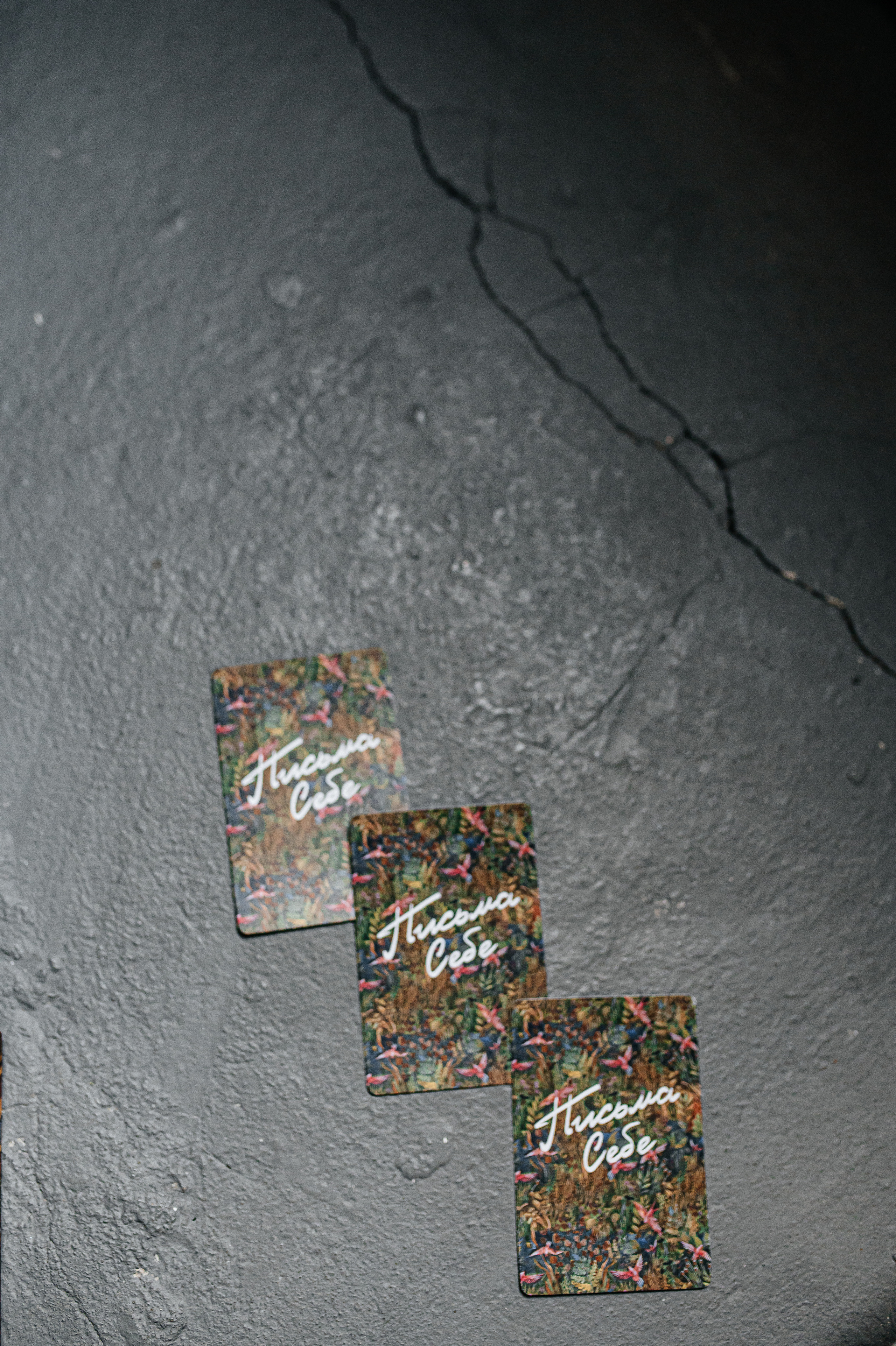 Елена масла Dottera/психолог. Семейный и детский фотограф в Туле