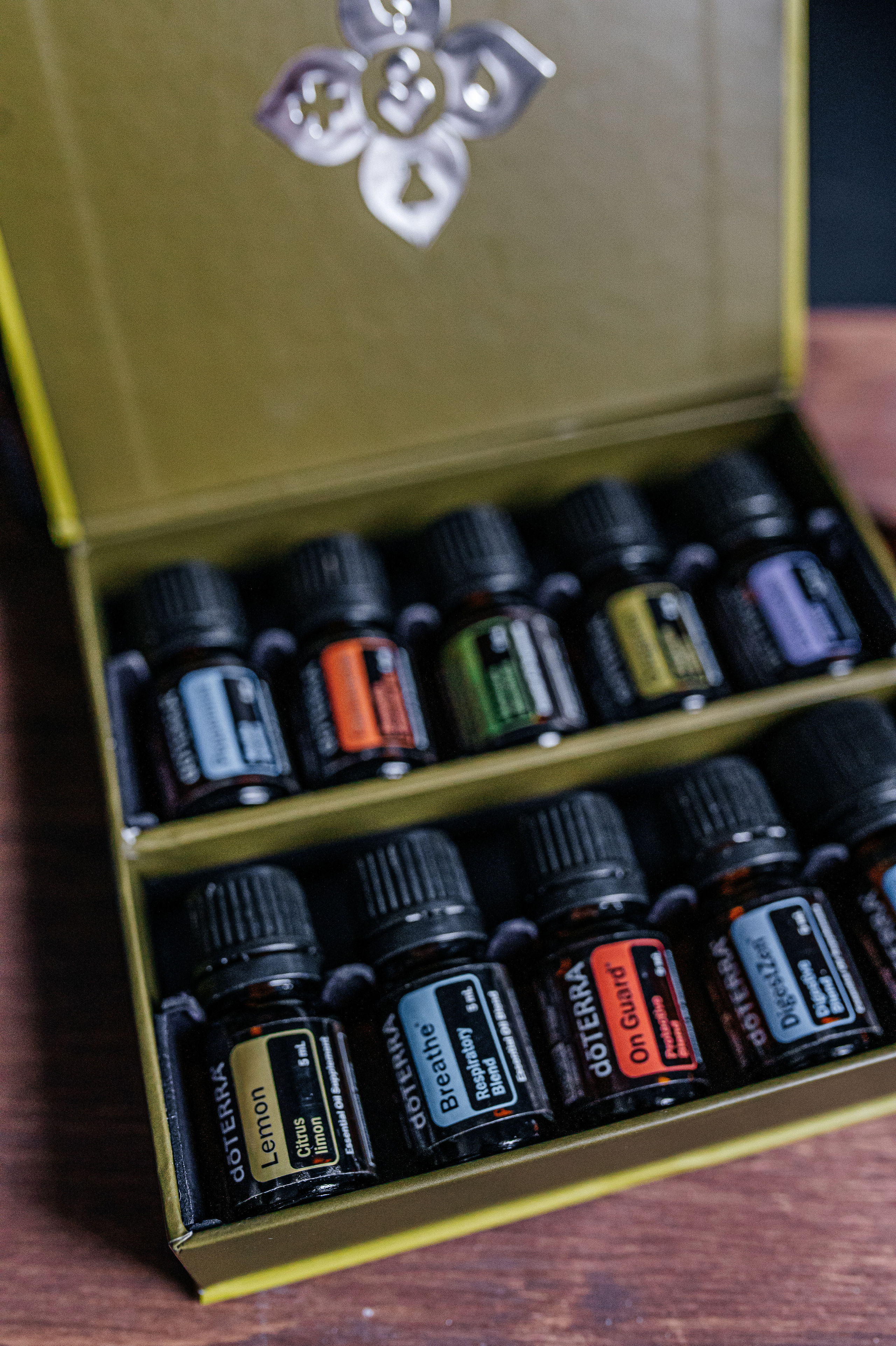 Елена масла Dottera/психолог. Семейный и детский фотограф в Туле