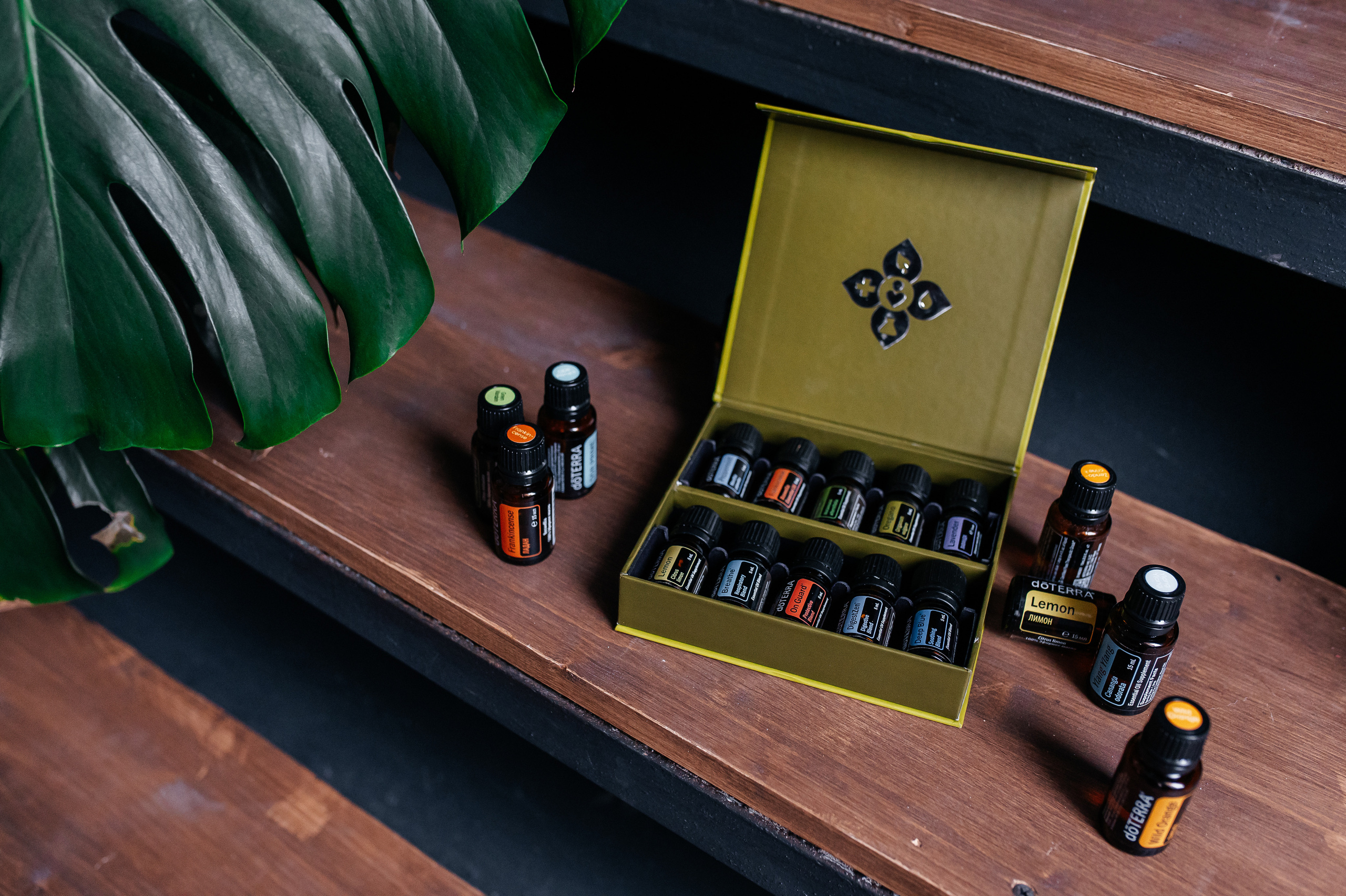 Елена масла Dottera/психолог. Семейный и детский фотограф в Туле