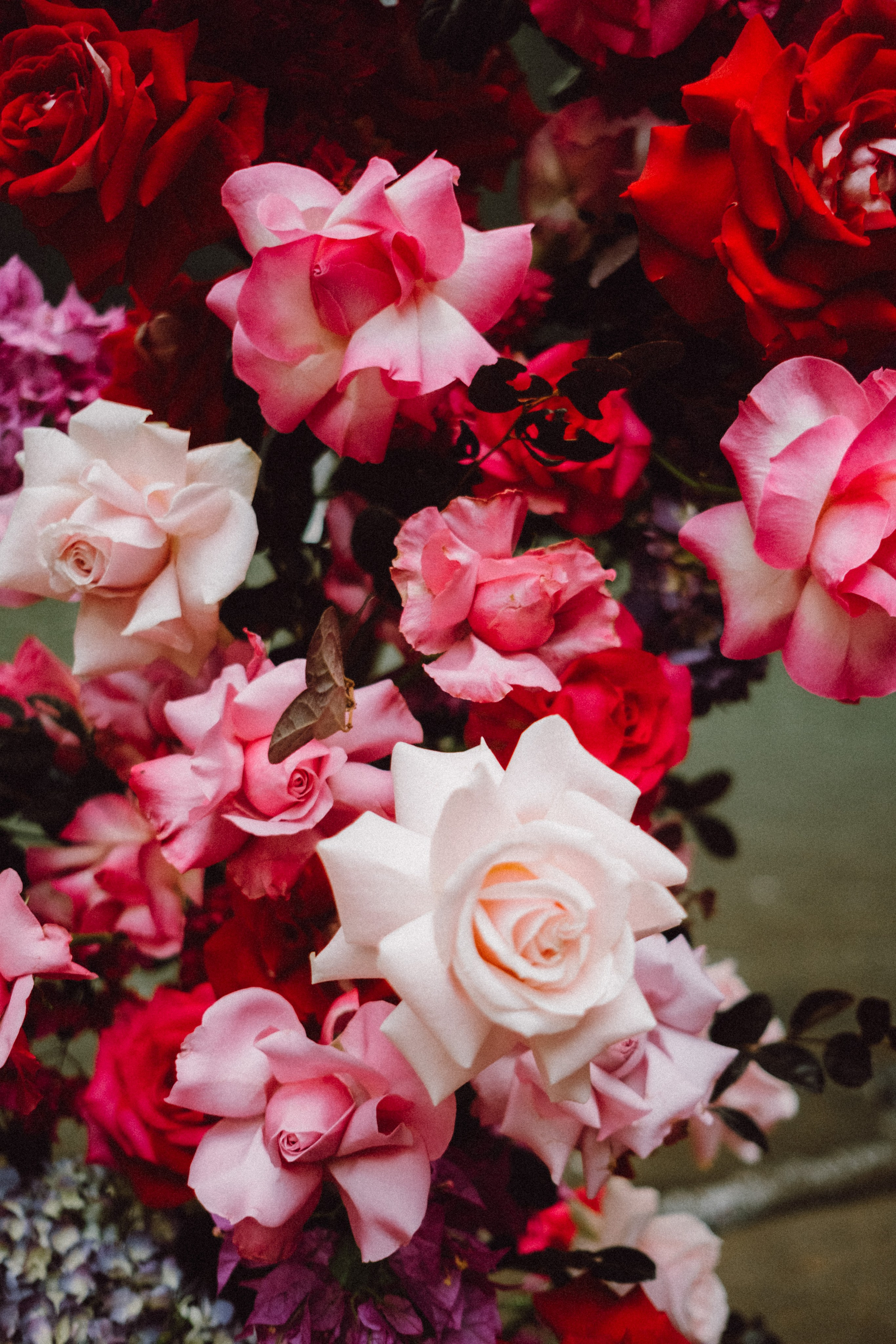 Briana and Tom. Фотограф Бали