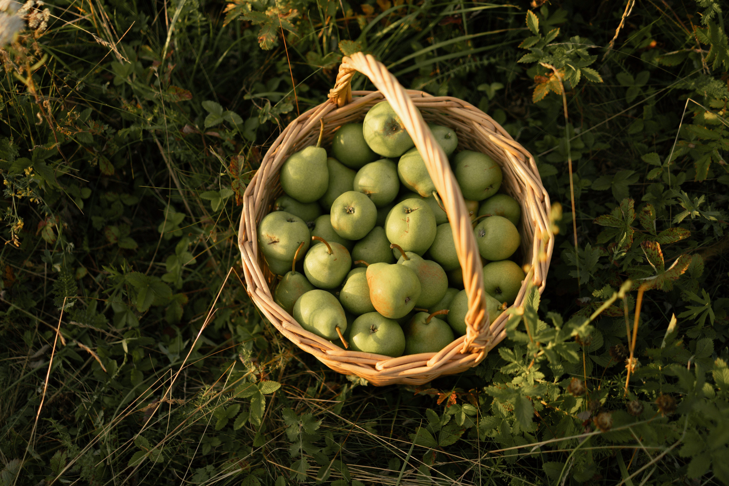 Наташа. Фотограф Зарина. Казань