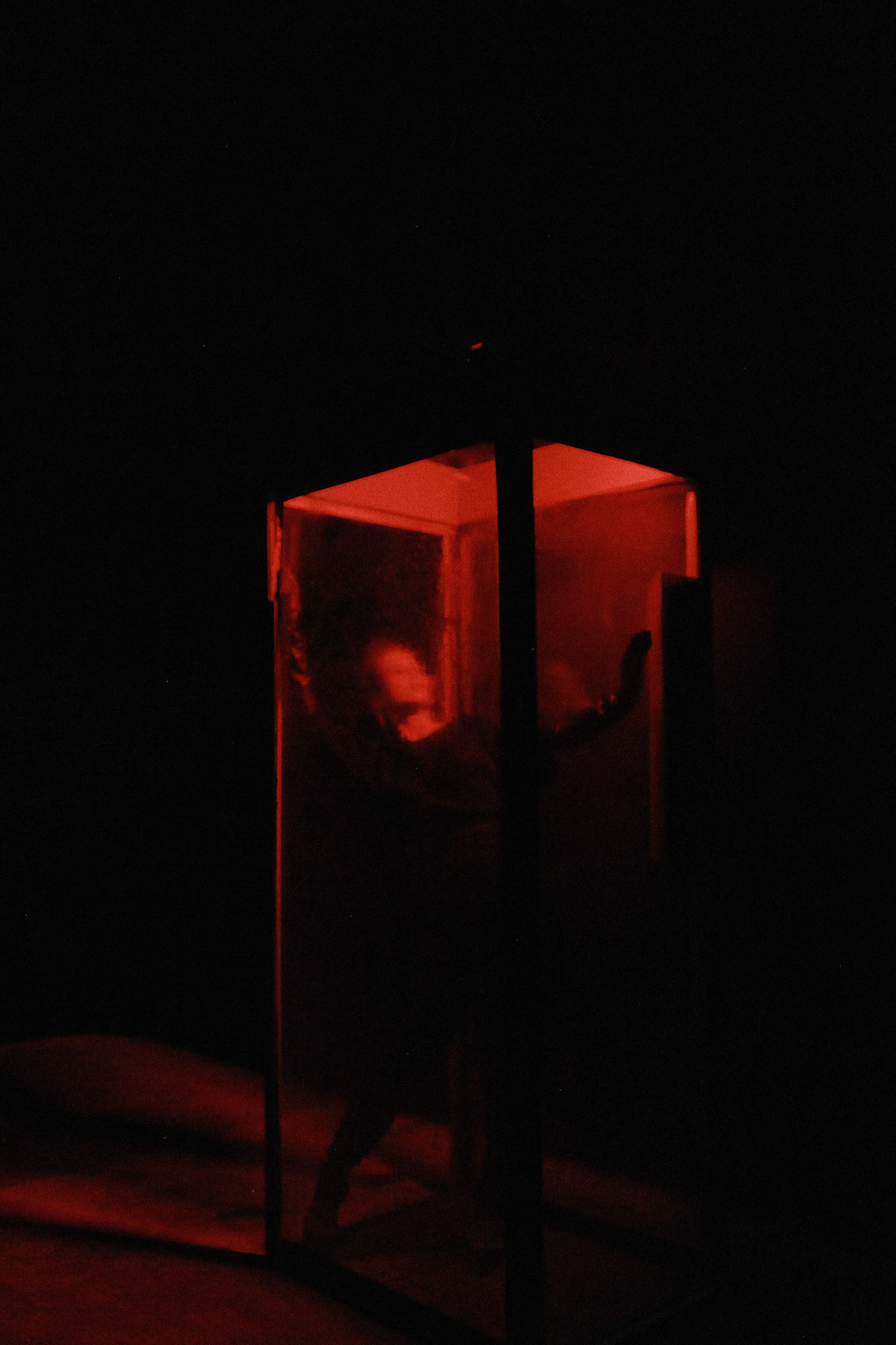 Лукерья ильяшенко. Iliaarkhangelskii