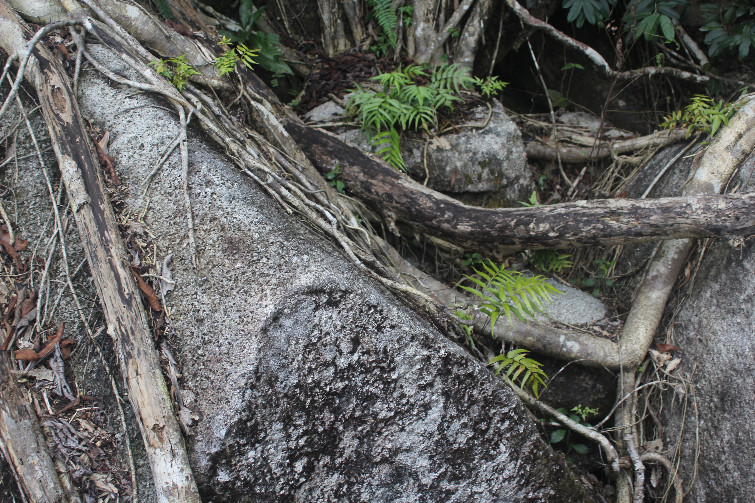 Точки на карте. Xexexena.ru