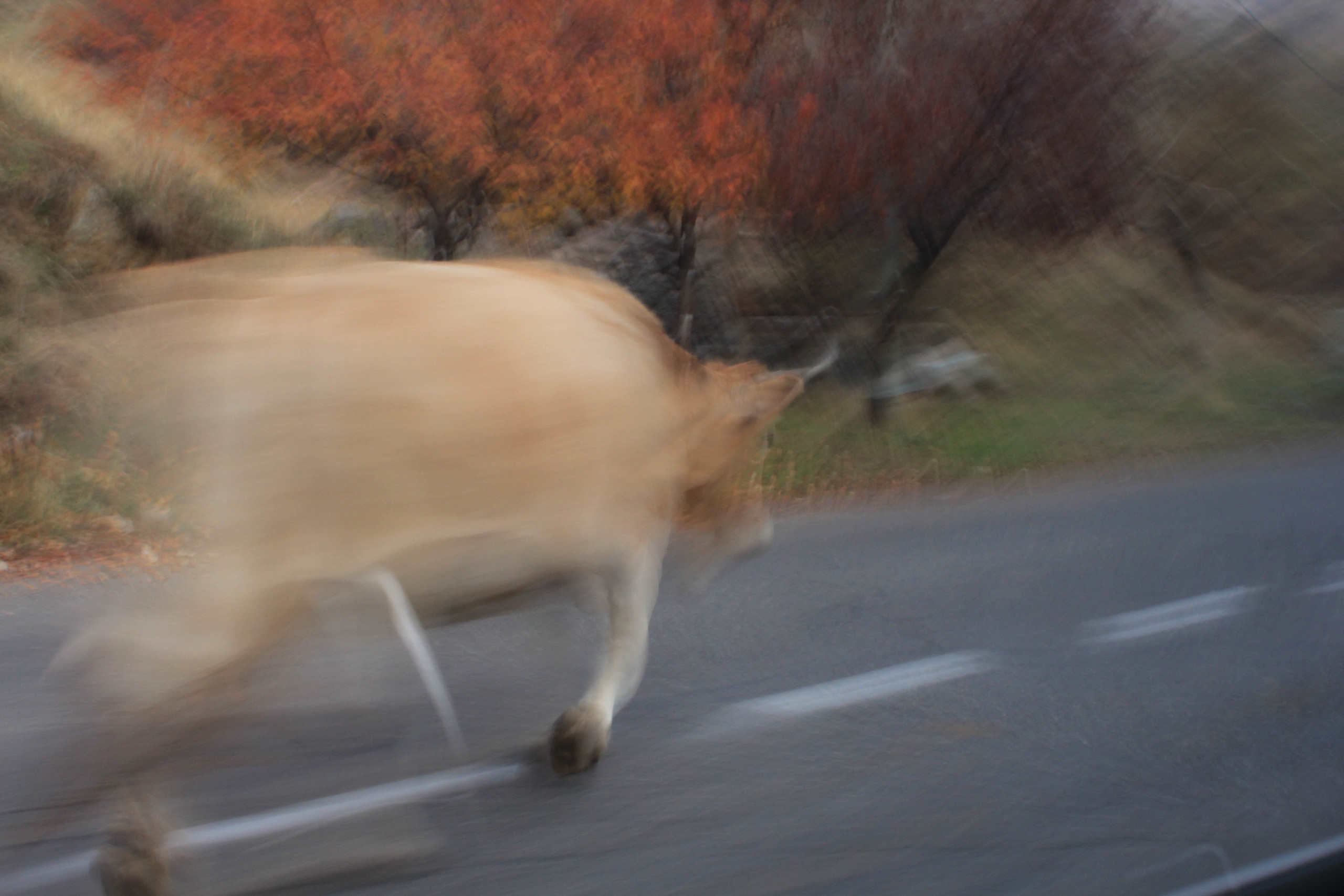 Точки на карте. Xexexena.ru