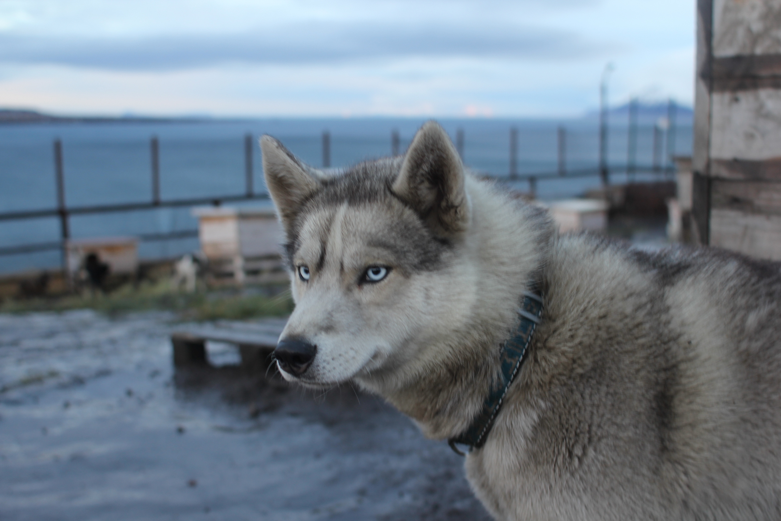 Точки на карте. Xexexena.ru