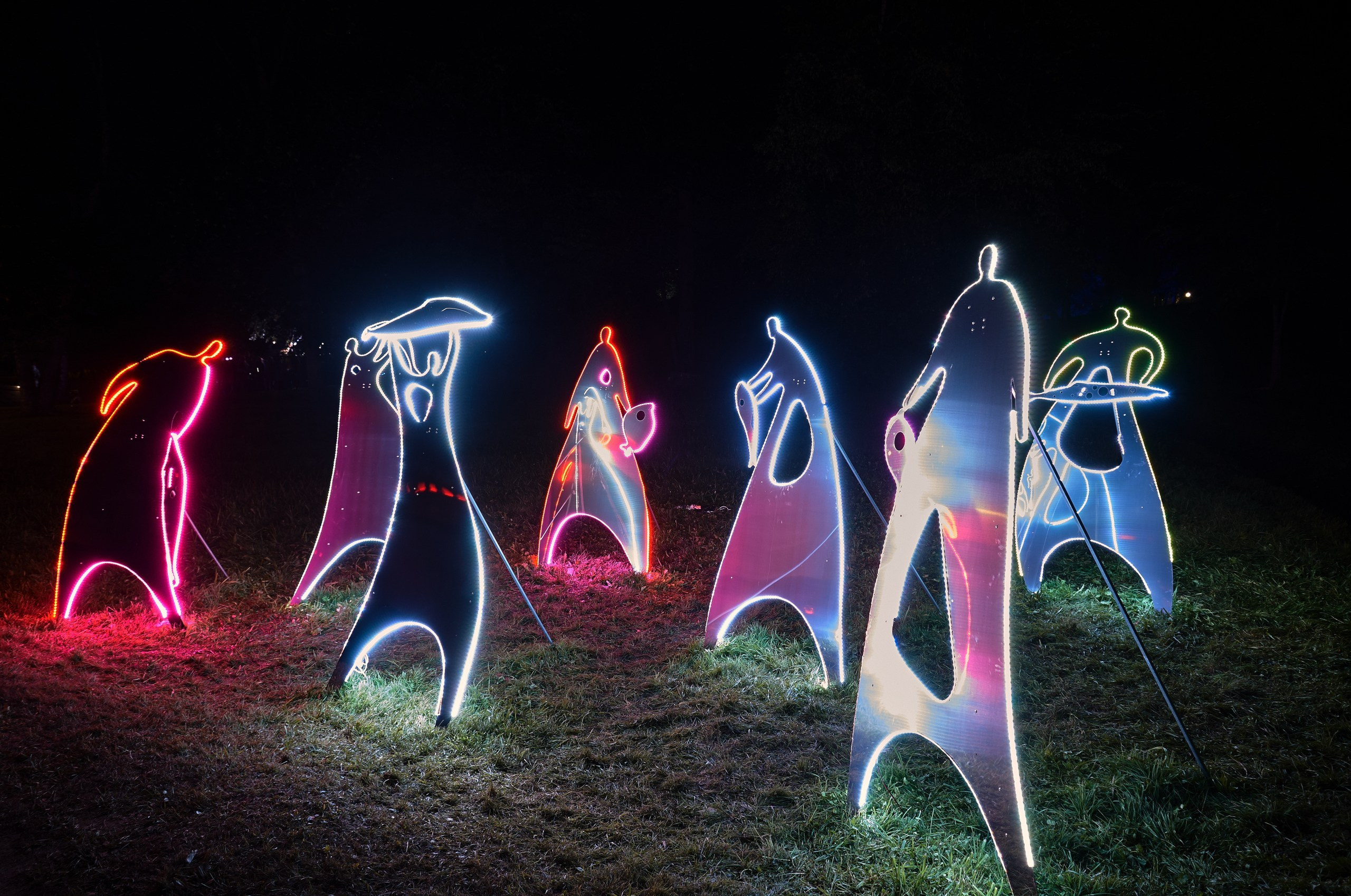 Фестиваль Ночь Света 2019 год. Иван Ступа, репортажный фотограф в Санкт-Петербурге и Ленинградской области