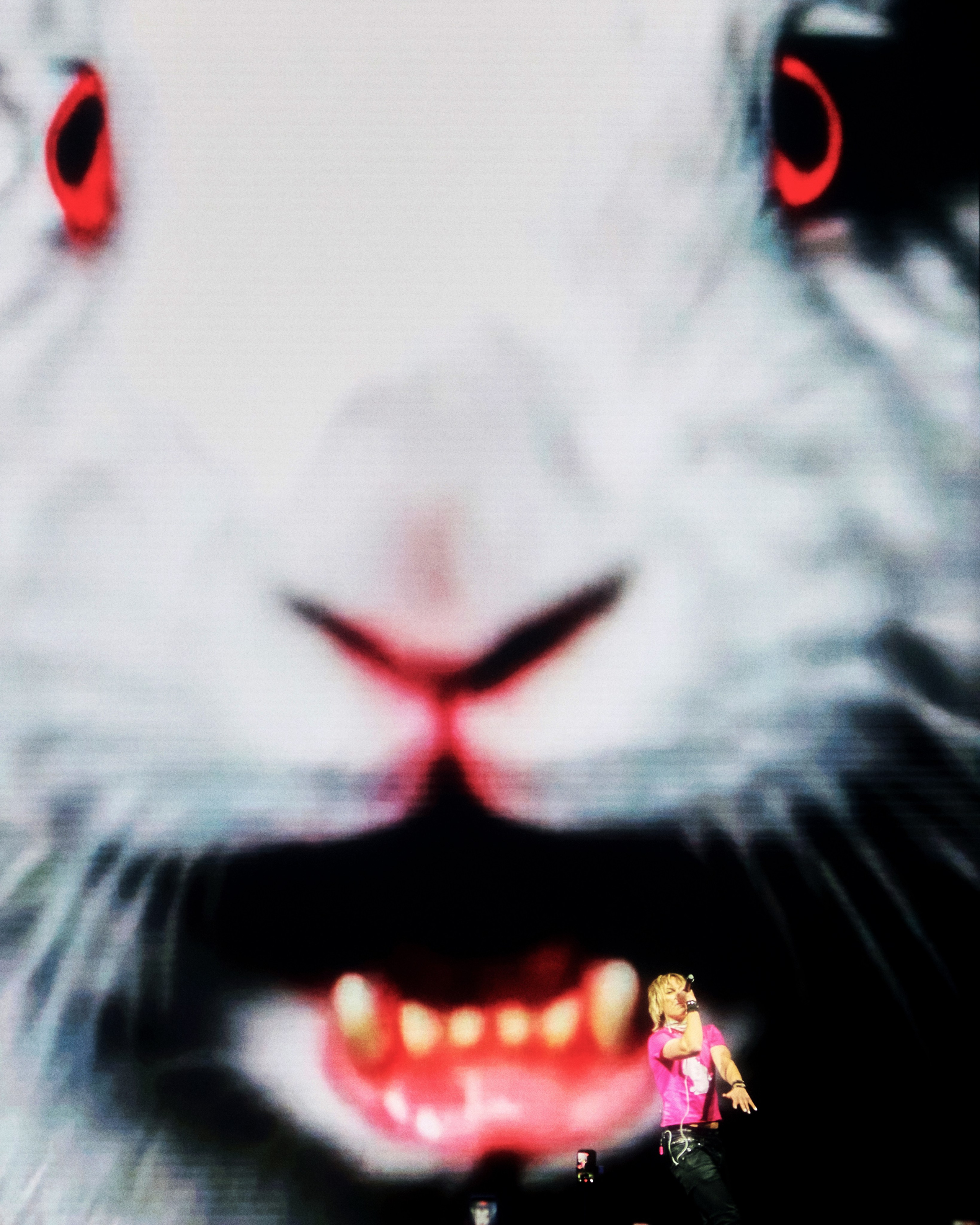 CONCERT. ANNA — PHOTOGRAPHER