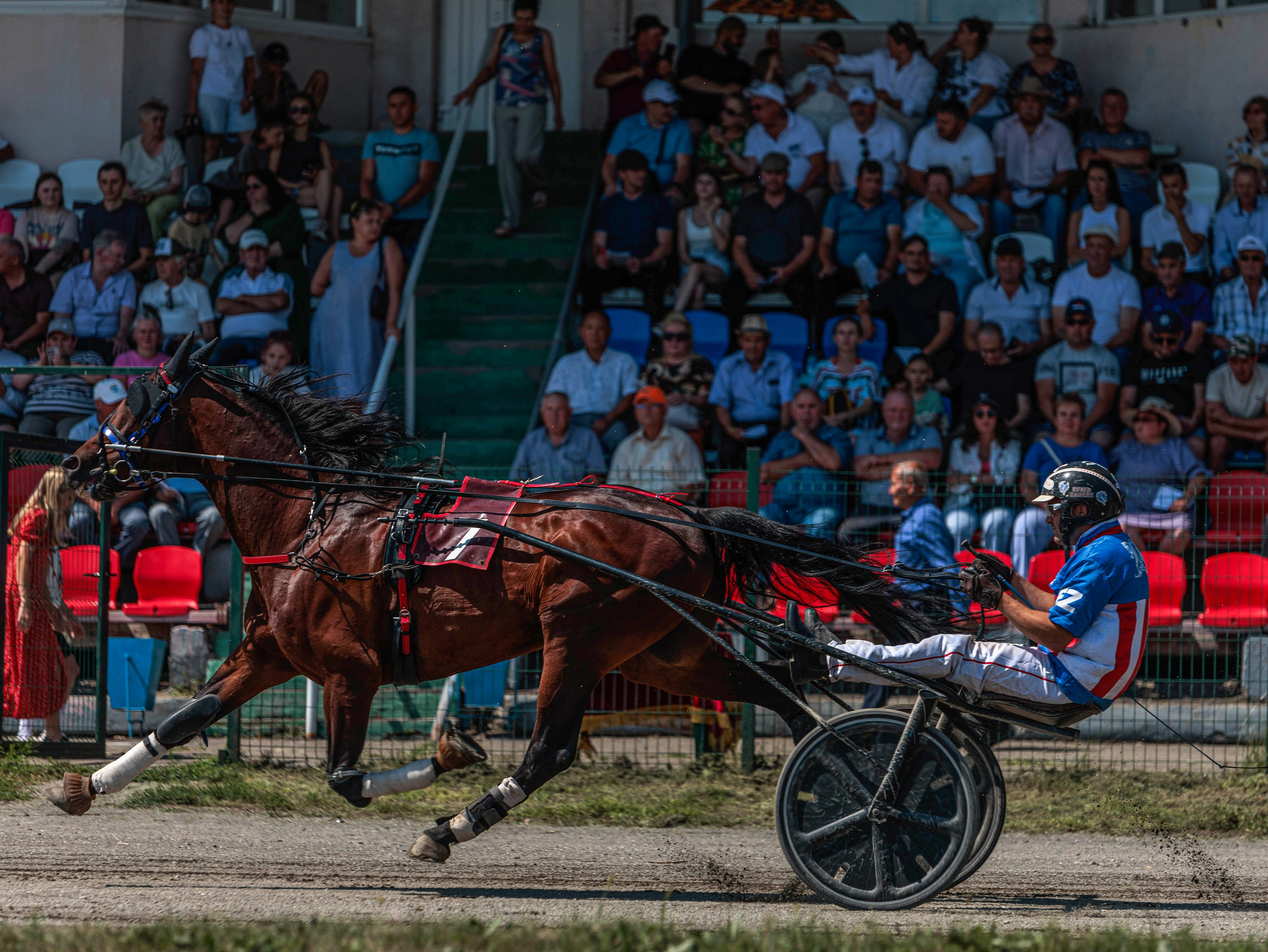 Зарисовки Абаканский ипподром 2025. Конный фотограф в Красноярске — Любовь Похабова