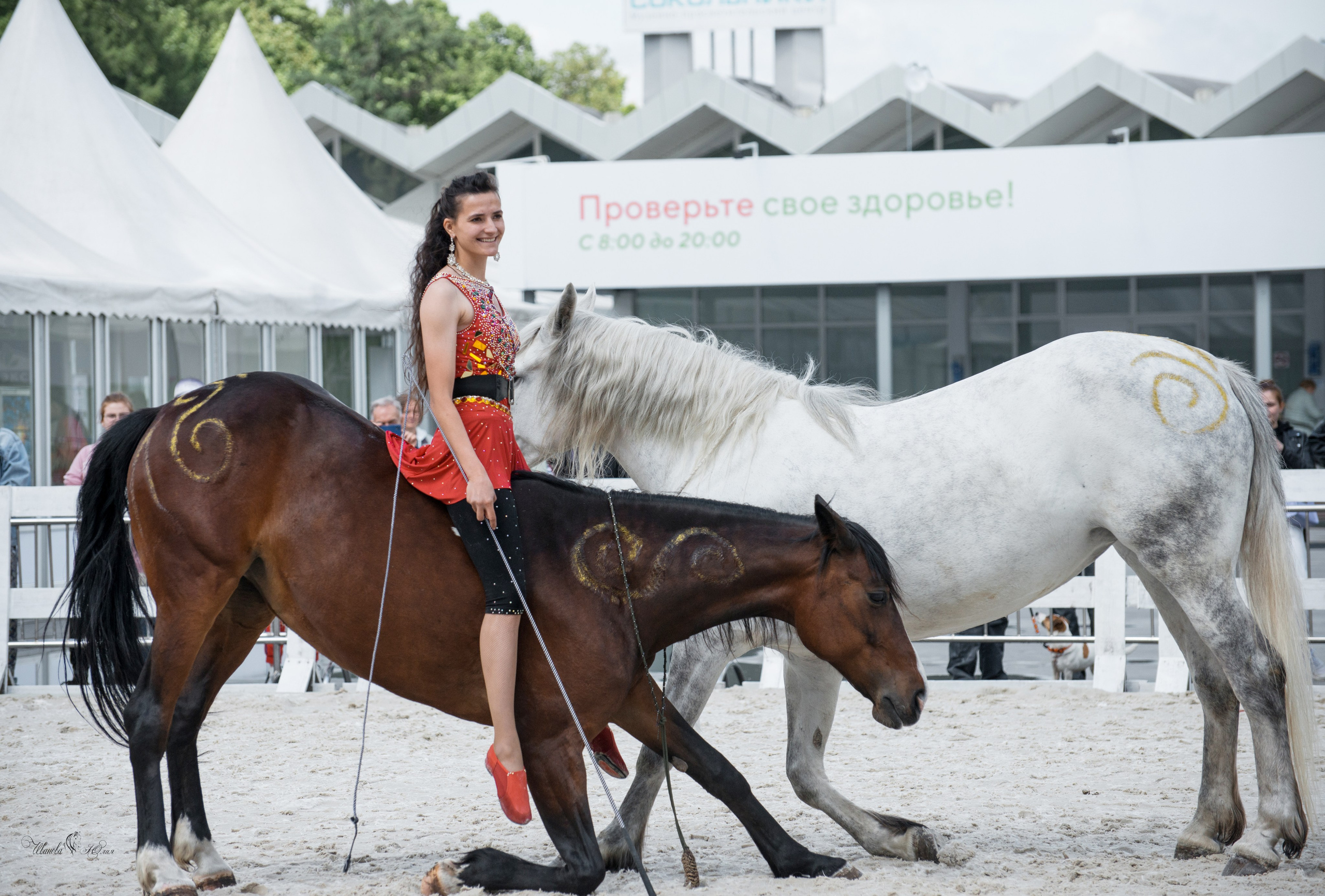 Эквирос, Москва. Конный фотограф в Саратове Юлия Иванова
