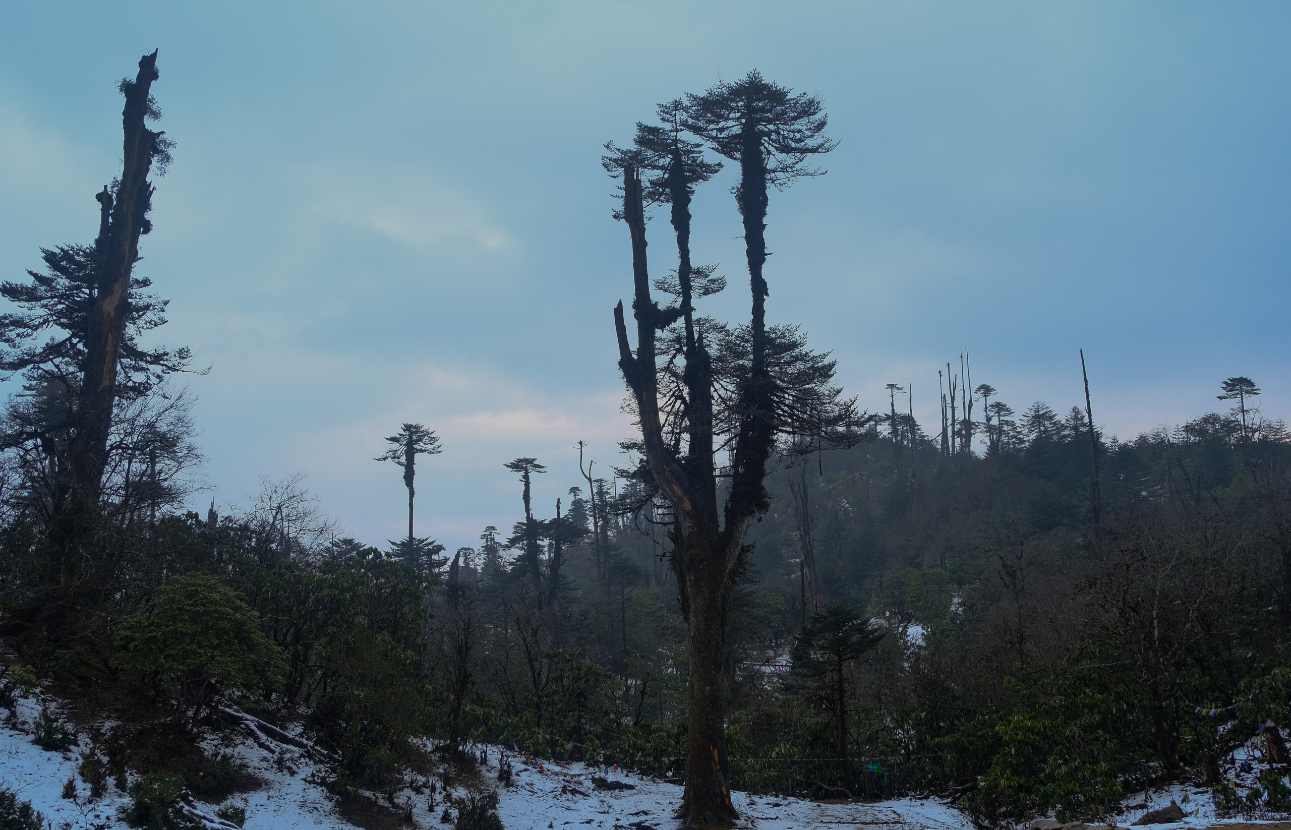 Индия Яки. Фотографии из путешествий