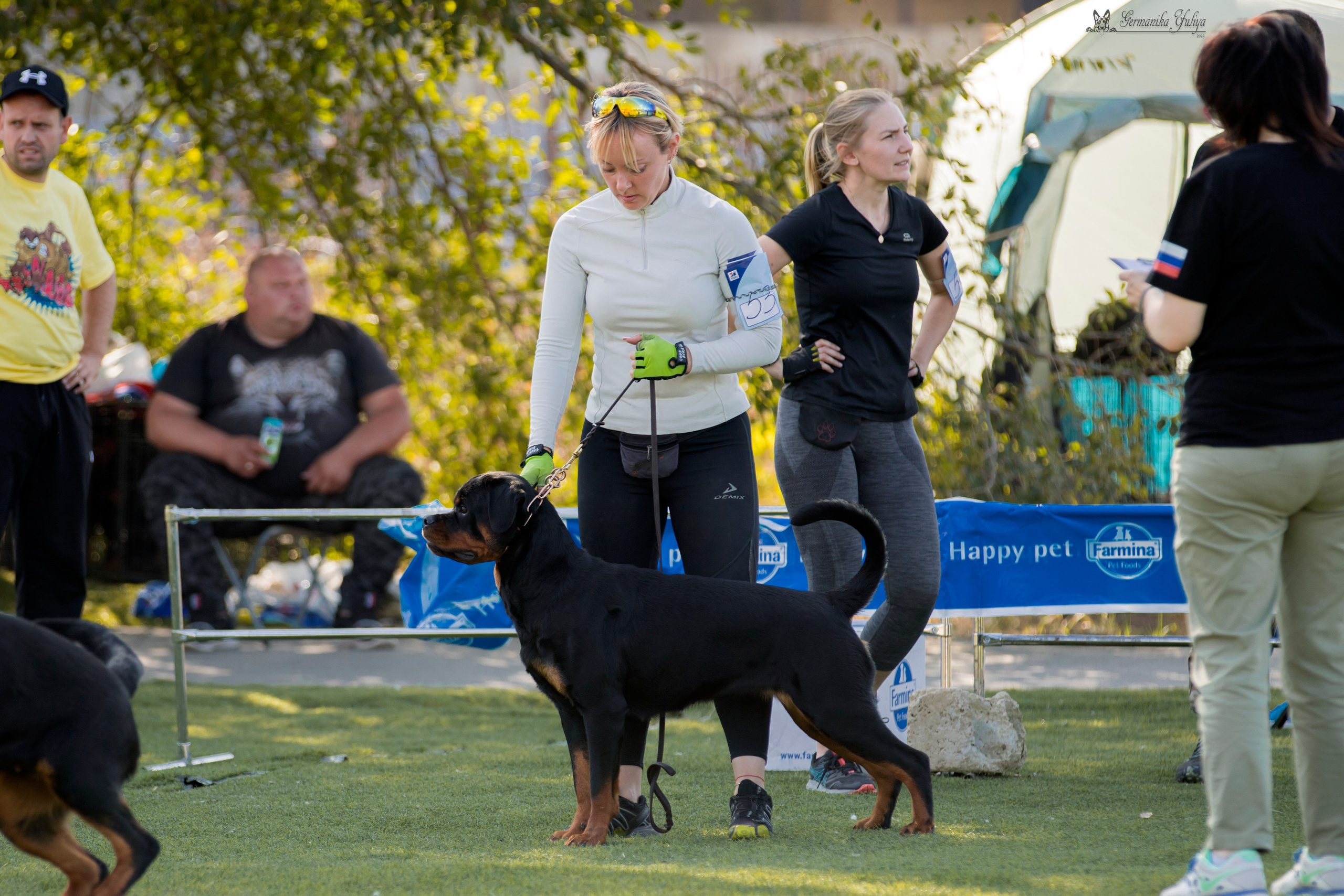 Анапа 16-17.09.2023 моно ротвейлеров. Фотограф-анималист Юлия Германика
