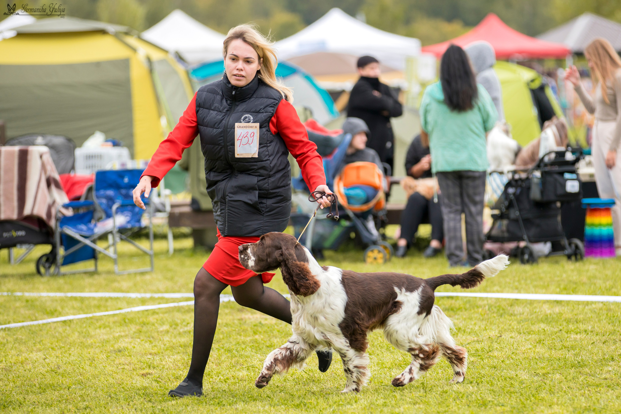 Переславль 9-10.09.2023. Фотограф-анималист Юлия Германика