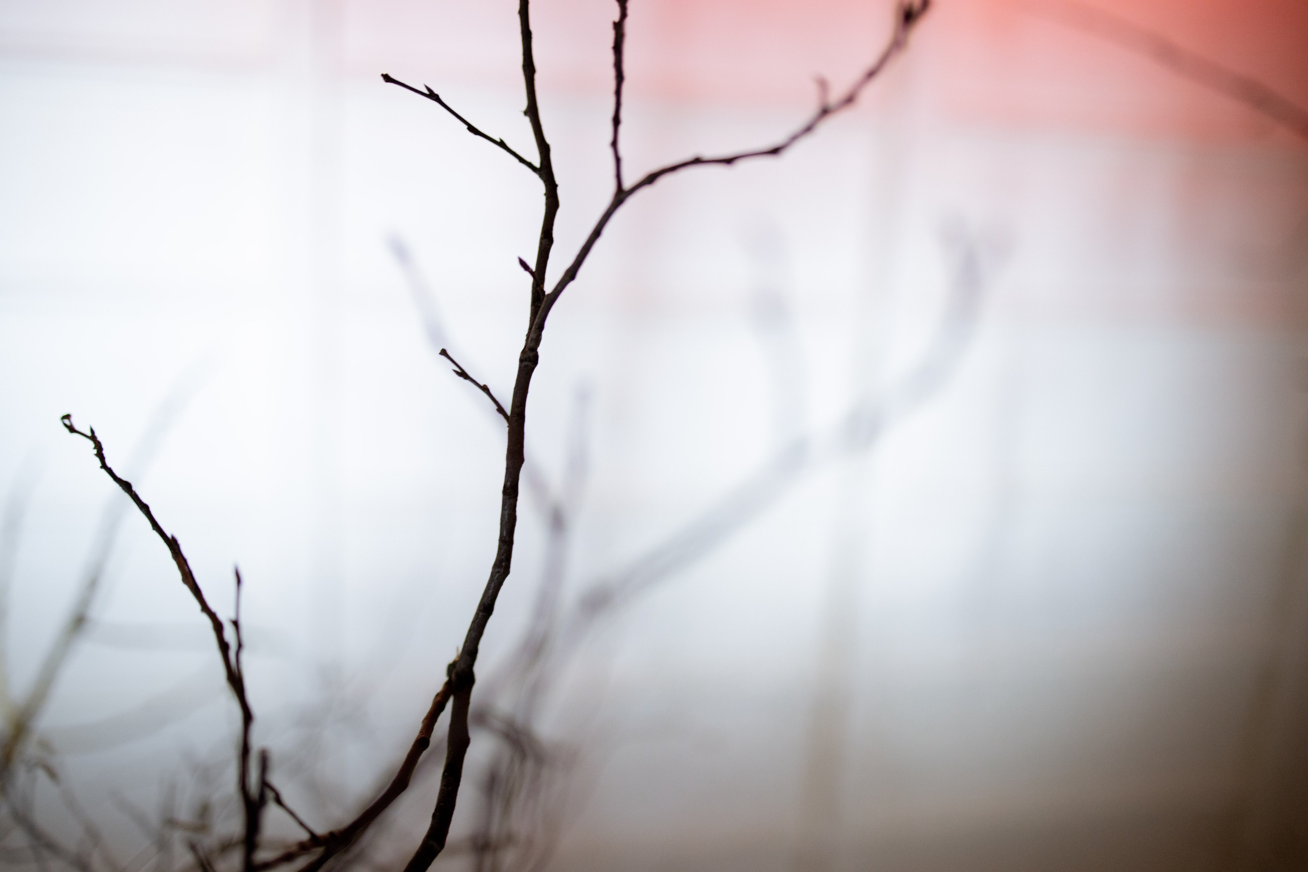 Новогодний корпоратив в фольклорном стиле. Особняк Лемана. Оформление свадеб, декор свадеб Вера Маркова, Москва