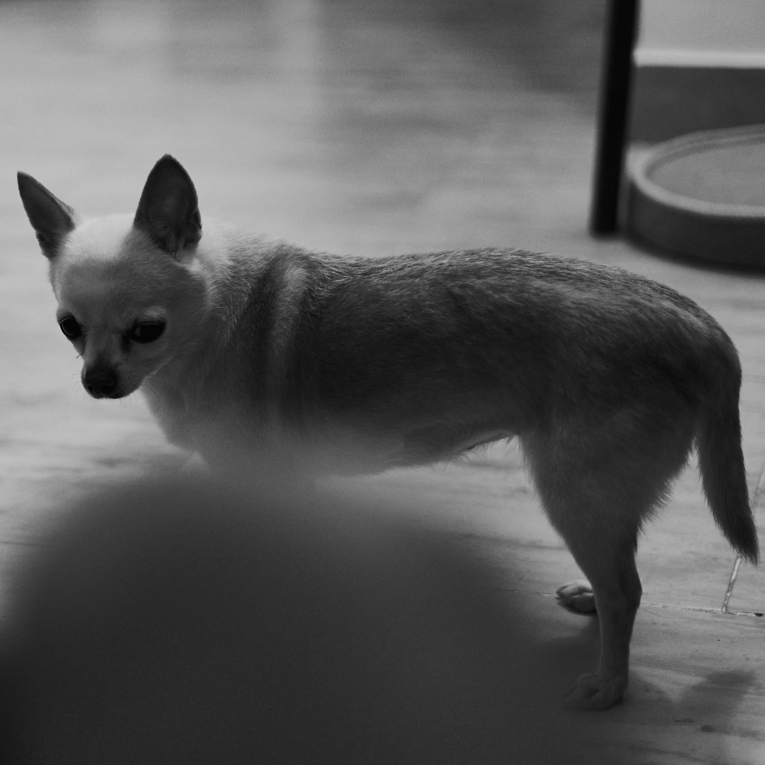 B&W. Jorgis — фотограф в Хургаде / обучение фотографии