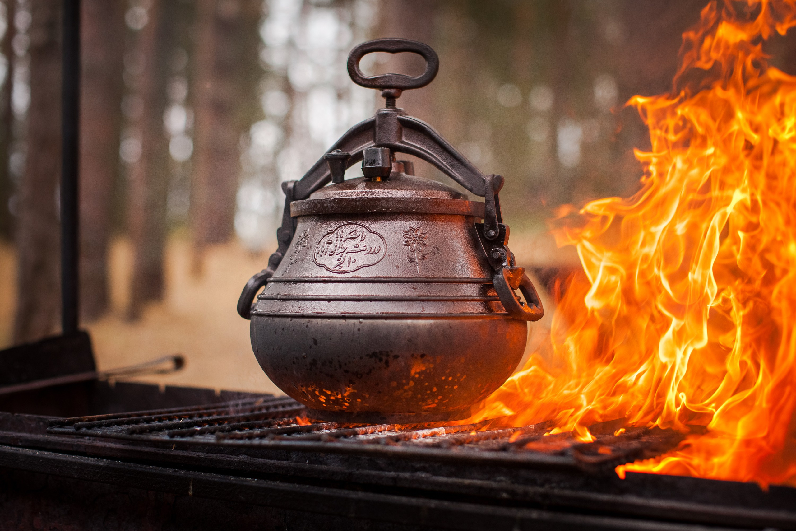 Остров «Свободы». Туманов Виталий — фотограф Москва