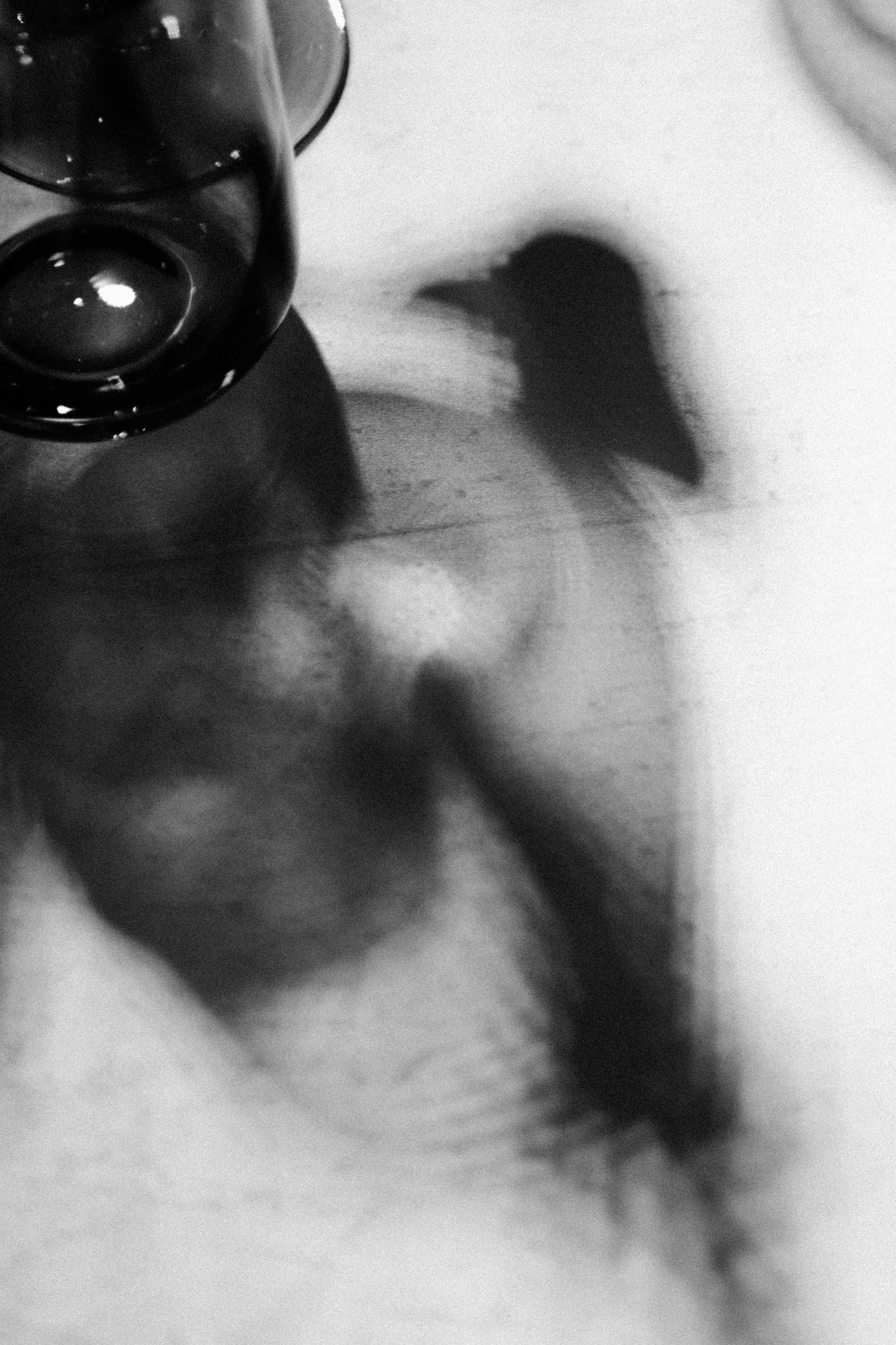 Отель Долгорукий не то чем кажется. Репортажный и портретный фотограф во Владимире Сергей Кравцов