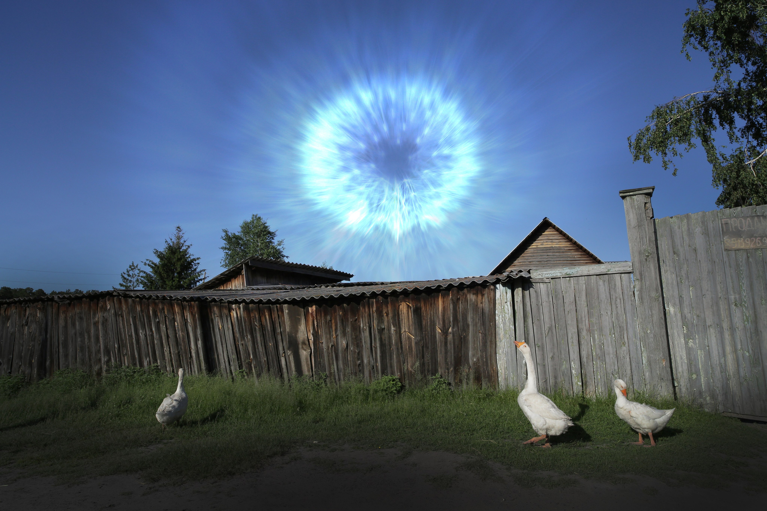 Фото Природы Забайкалья. Студия Максима Белослюдцева