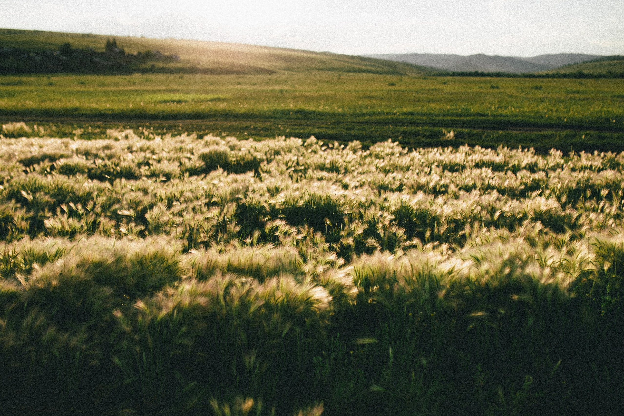 Алексей и Ксения. Фотограф Станислав Викулов в Чите