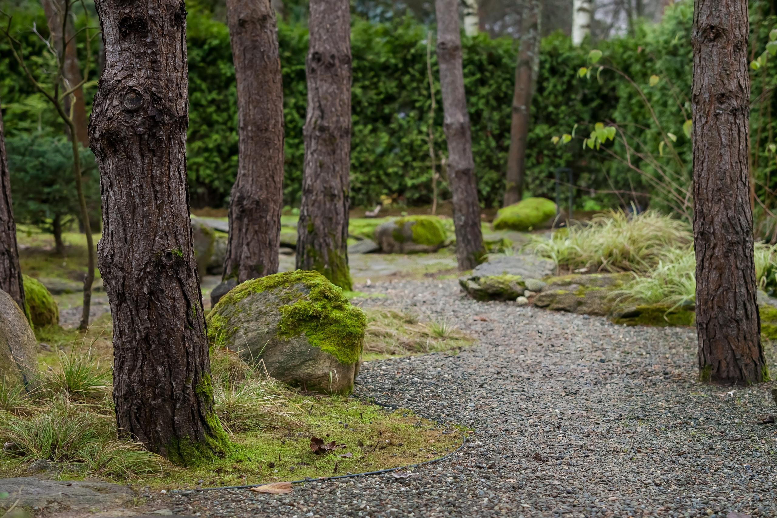 ОСТОРОЖНО МОХ. Туманов Виталий — фотограф Москва