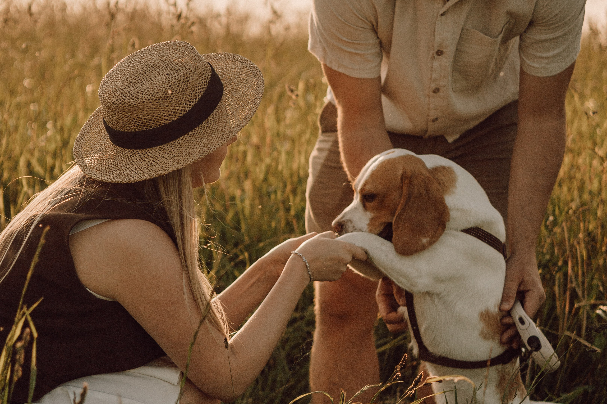Мартин и его семья. Фотограф — анималист •love-story•|Санкт-Петербург