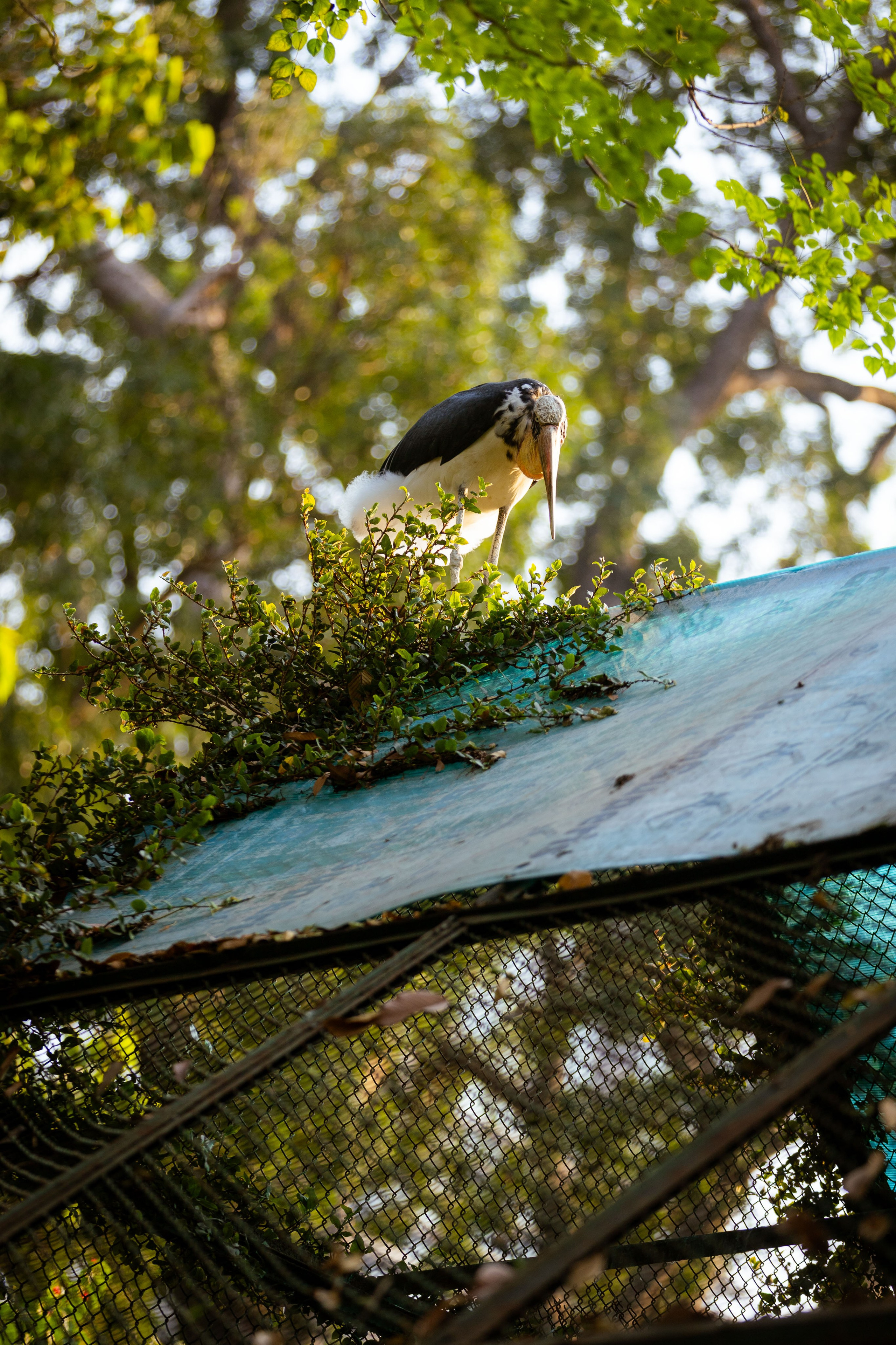 Вьетнам (зима 2025-2026). Фотограф Виноградов Константин