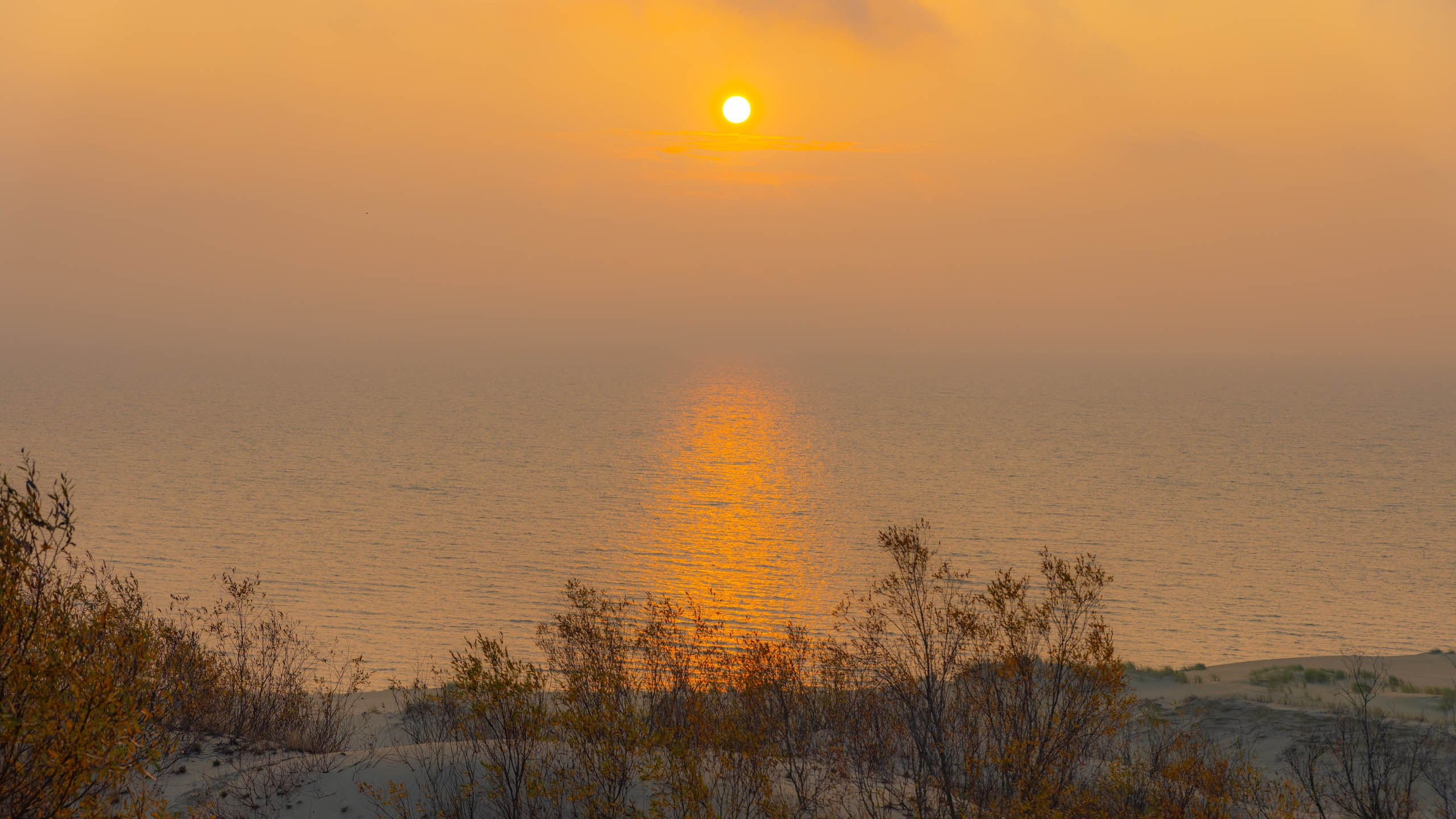 2024 10 Зеленоградск, Светлогорск, Куршская коса. Фотографии