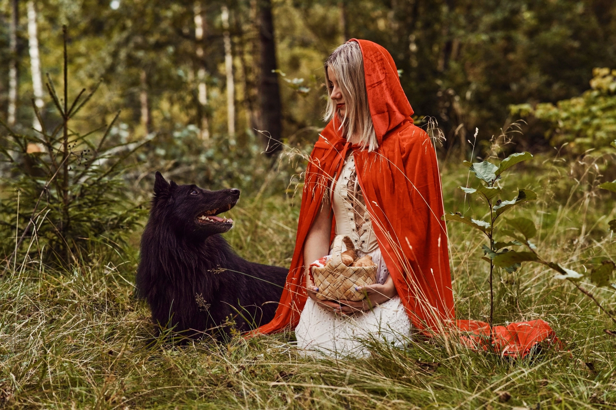 Анималистическая съёмка. Фотограф Ирина Fox foxkudina-photo.ru
