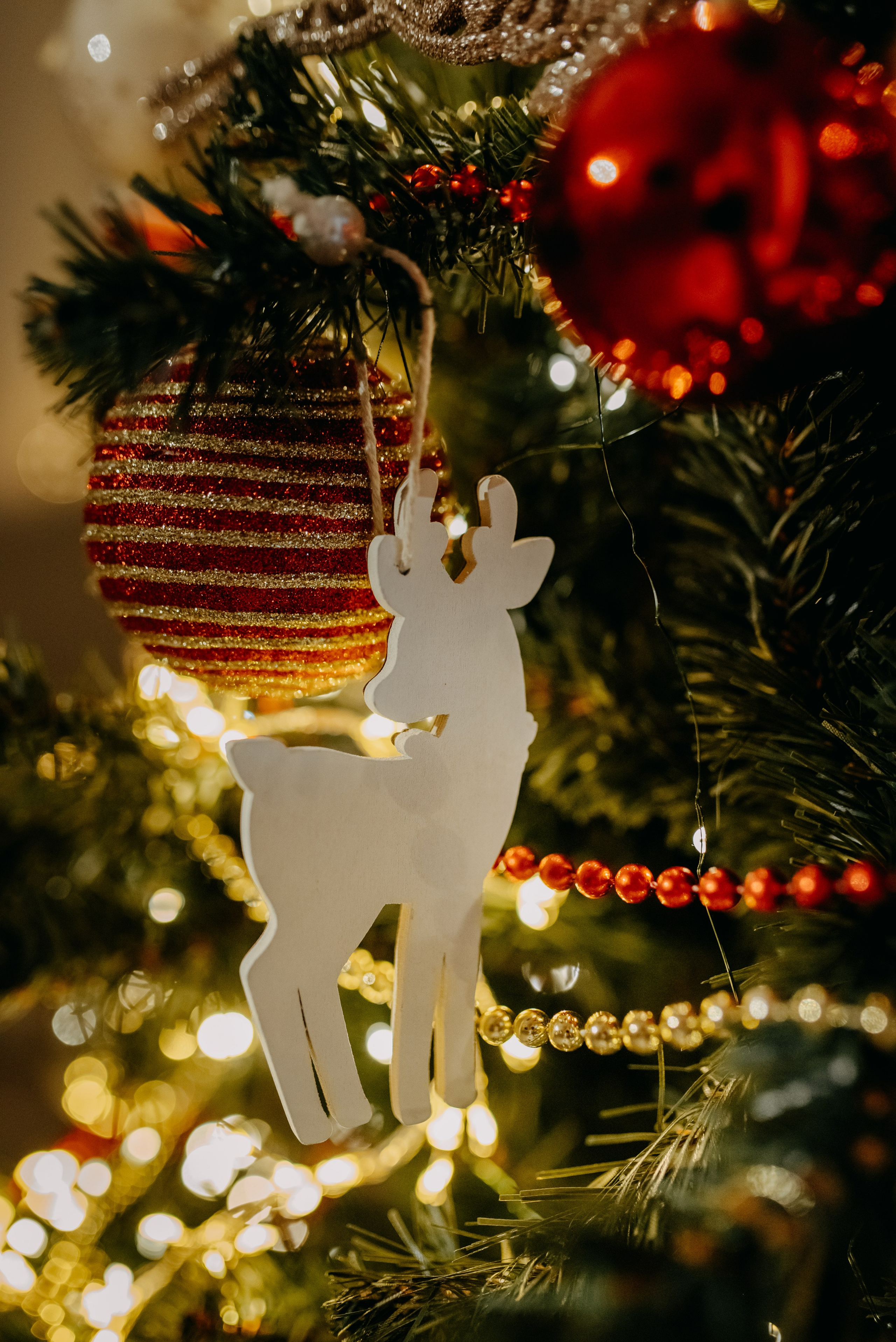 Новый год у камина. Семейный и детский фотограф в Туле