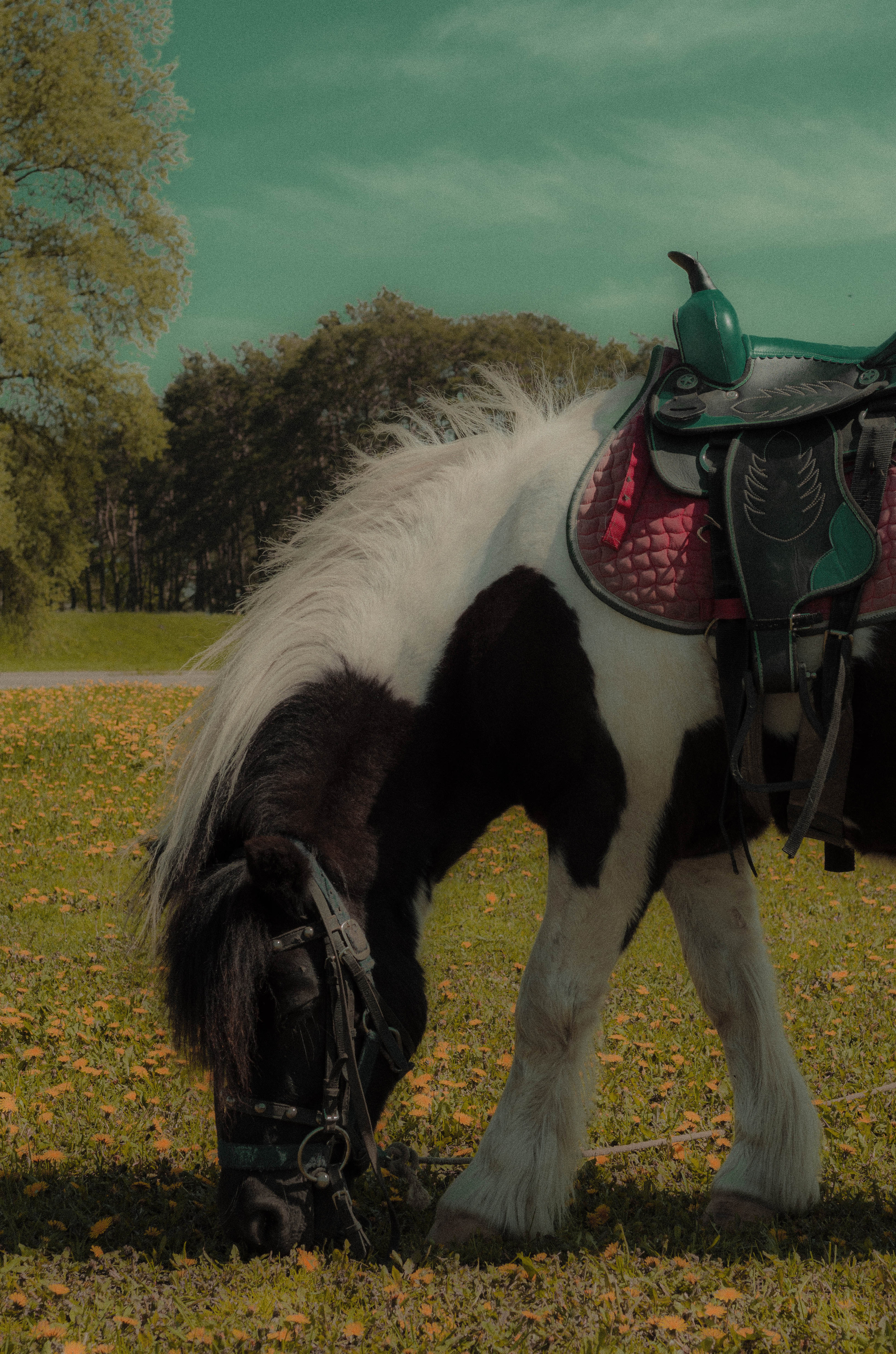 СОН. Photographer Barcelona