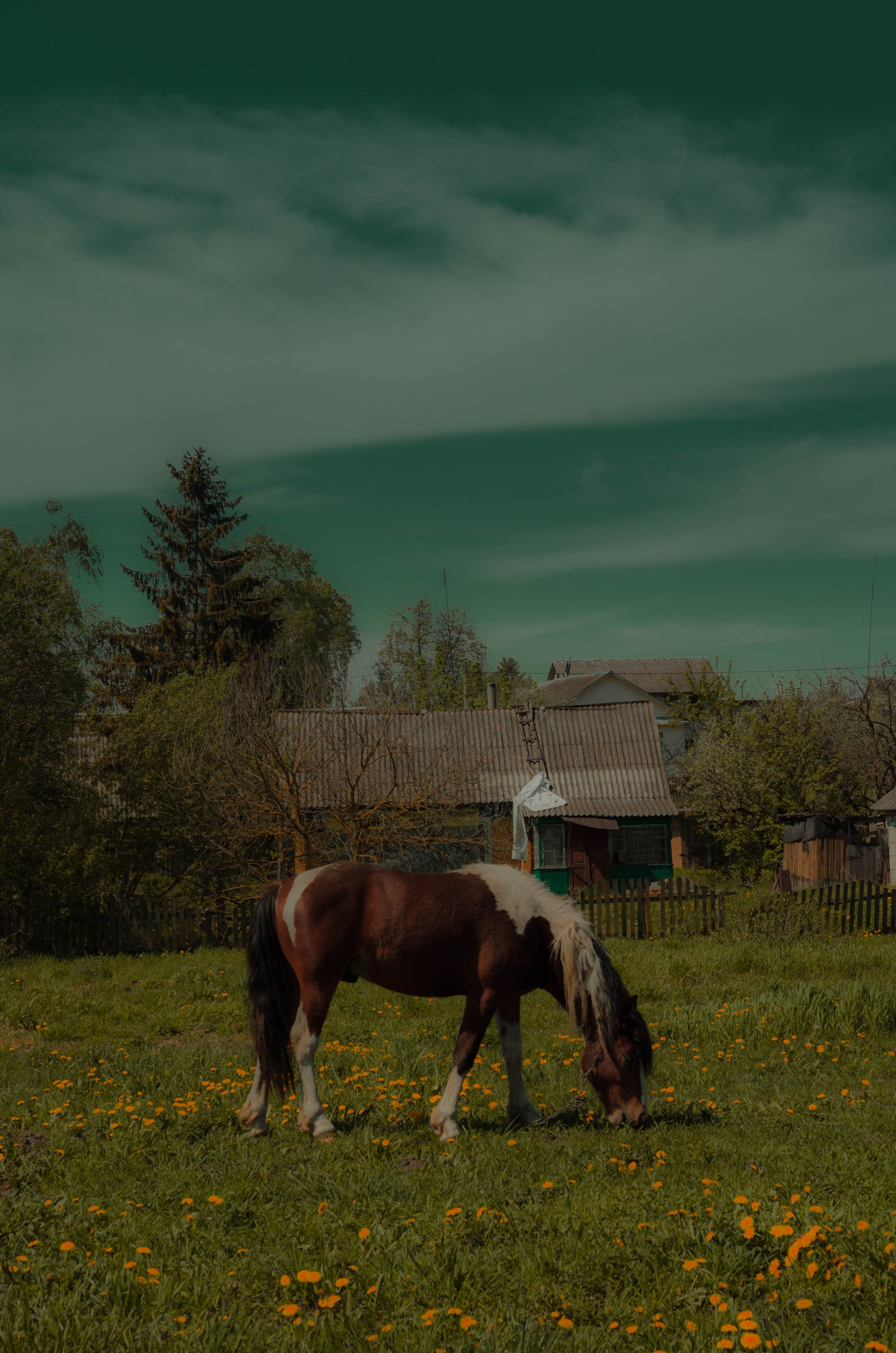 СОН. Photographer Barcelona