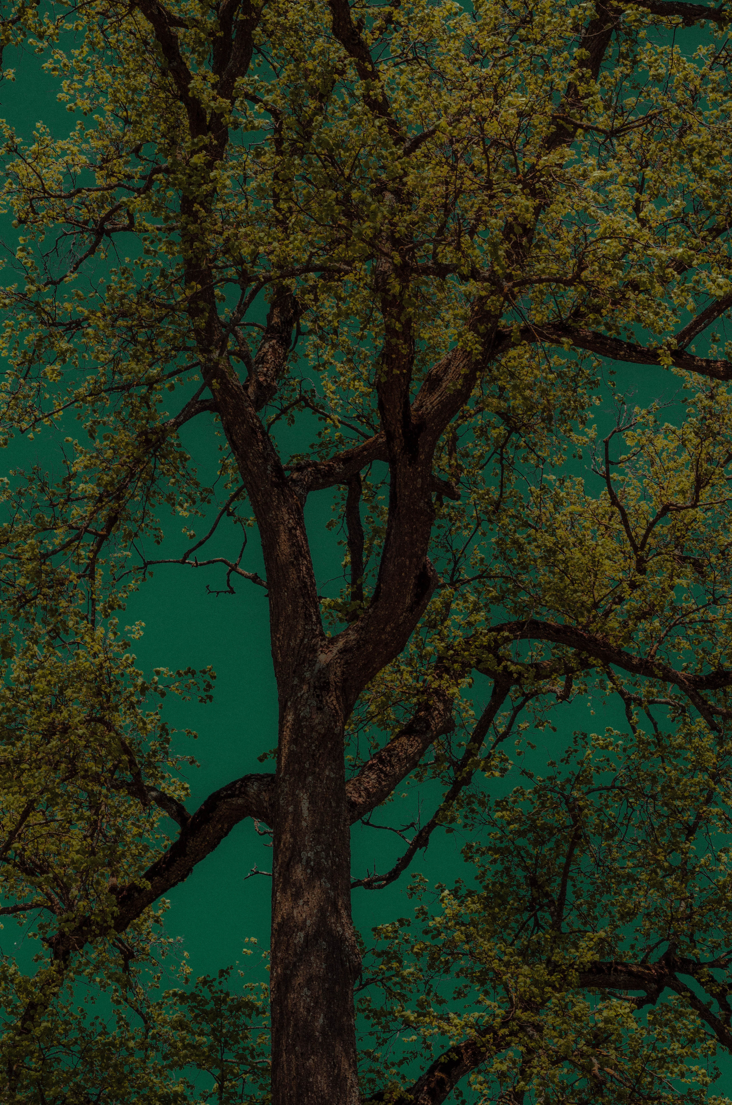 СОН. Photographer Barcelona