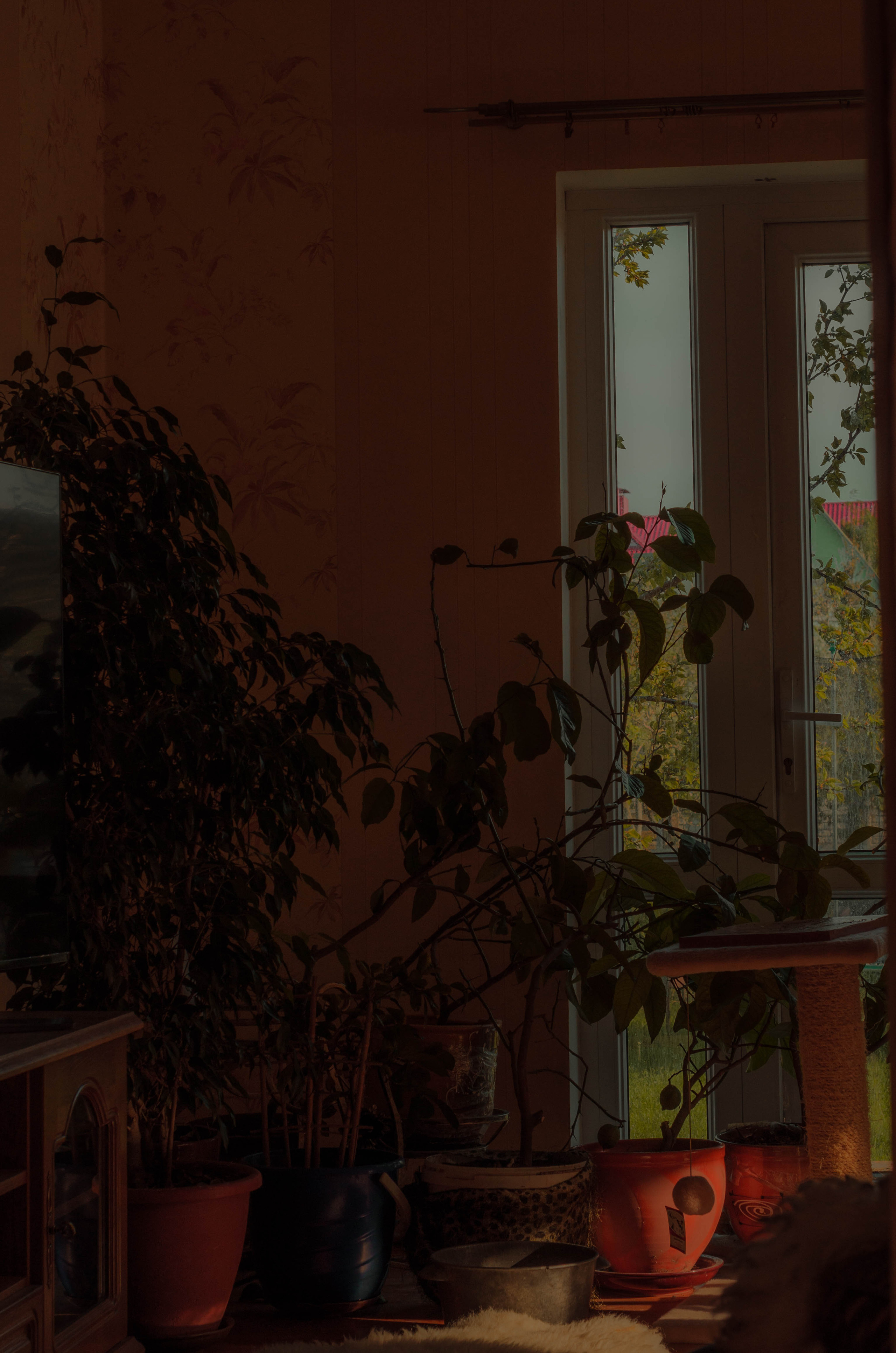 СОН. Photographer Barcelona