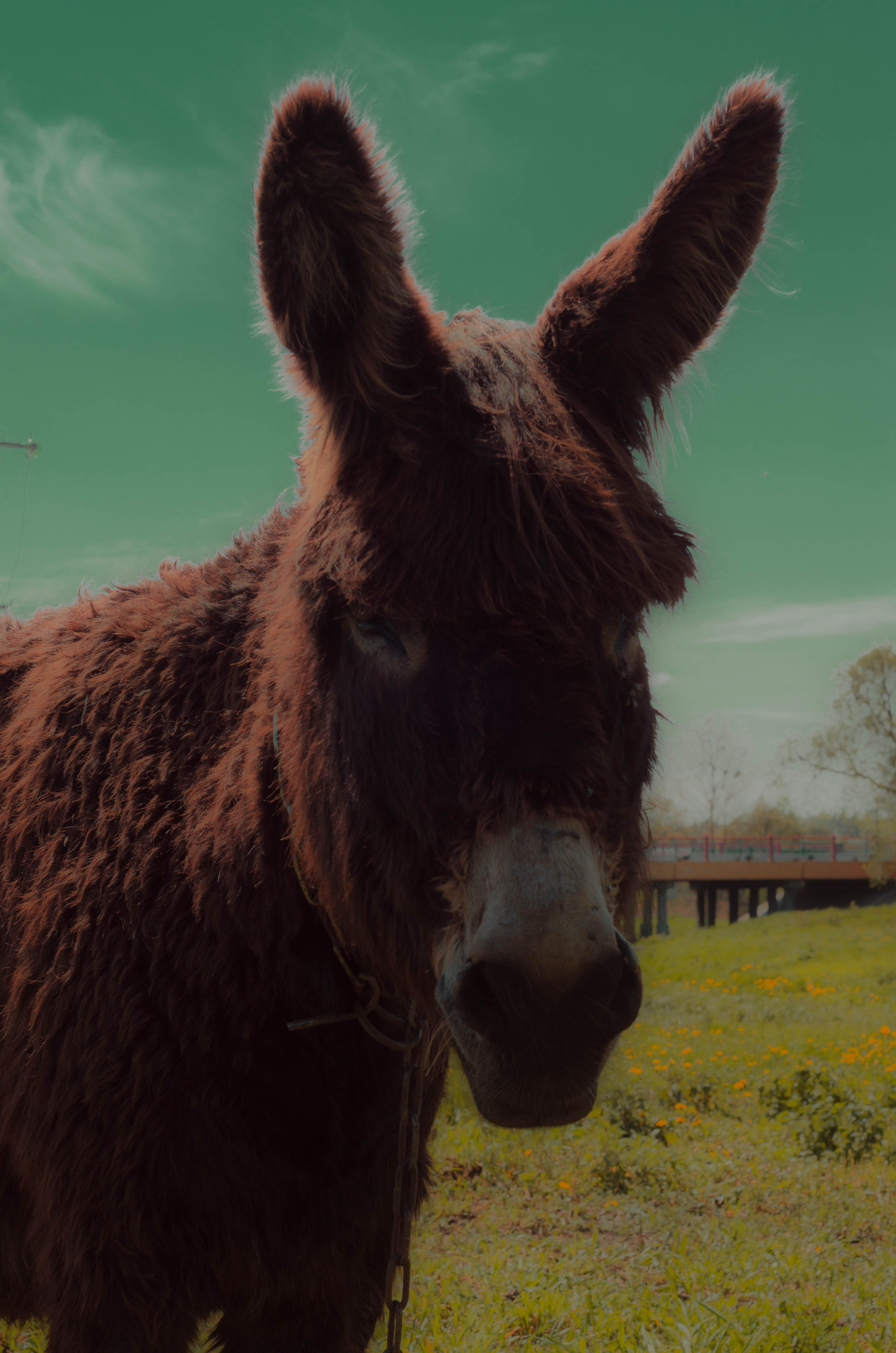 СОН. Photographer Barcelona