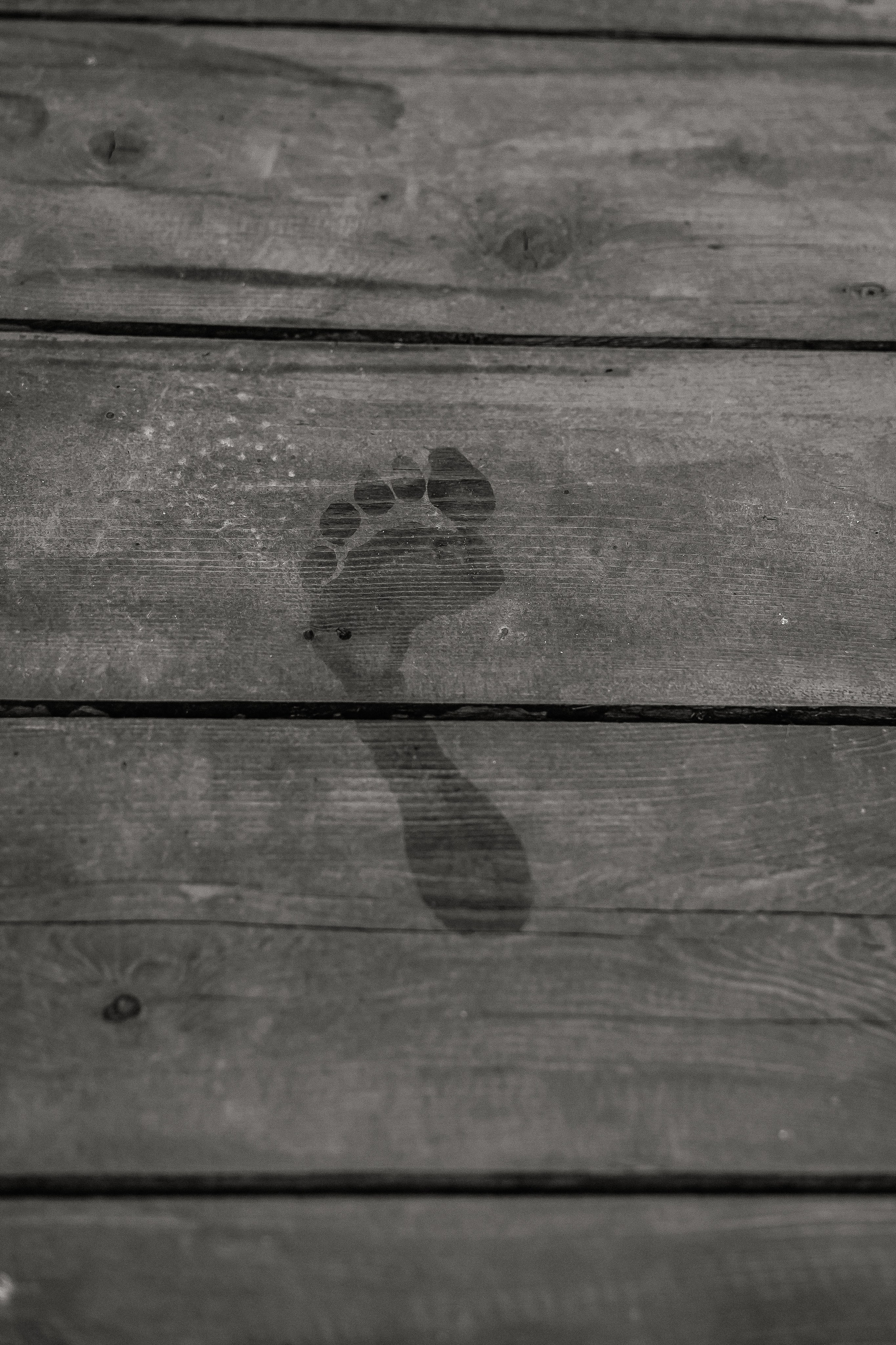 Лена. Свадебный и женский фотограф в Твери Екатерина Гребенкина