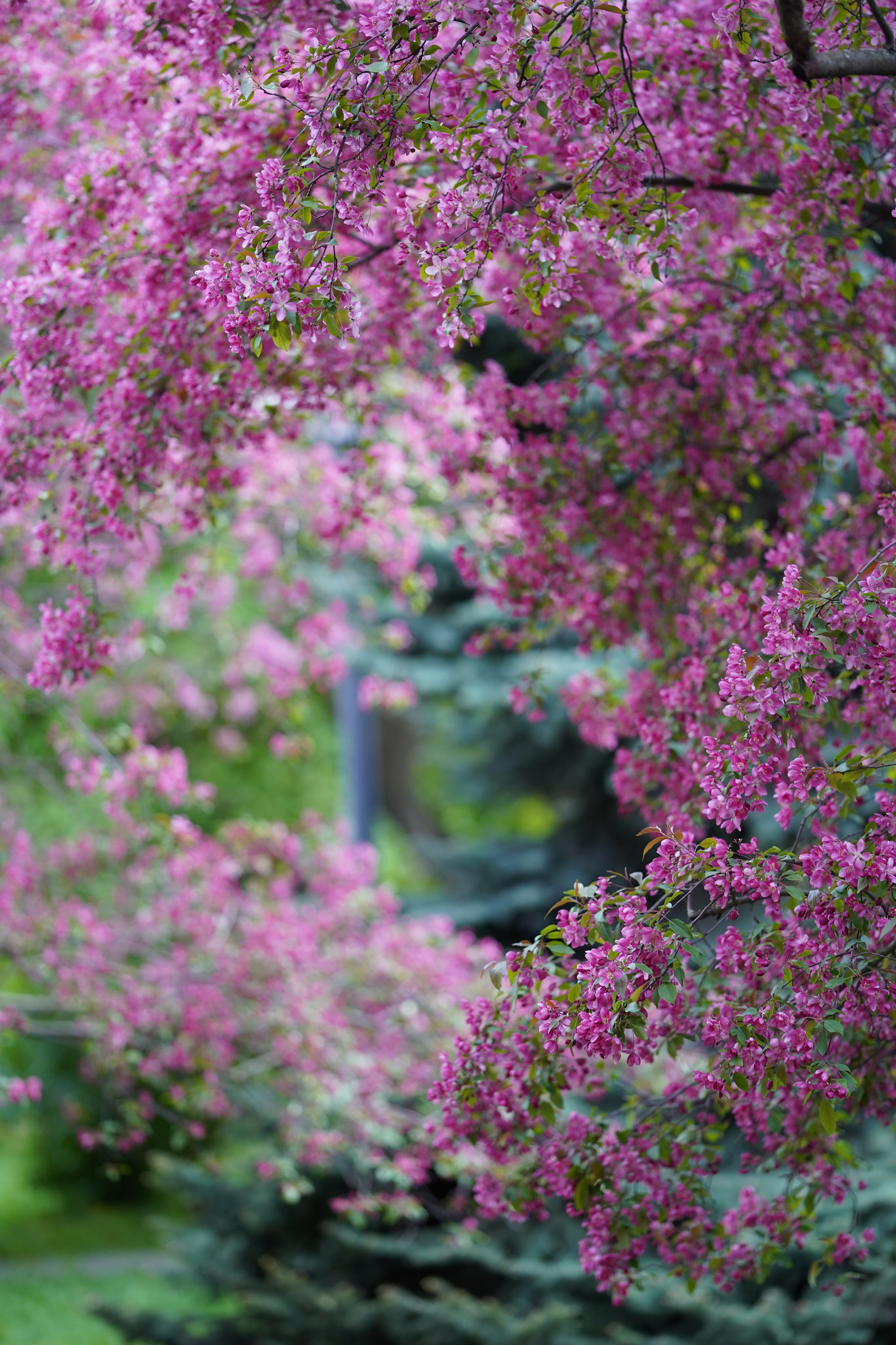 Весна. Фотограф в Москве Мария ~Zagagul~