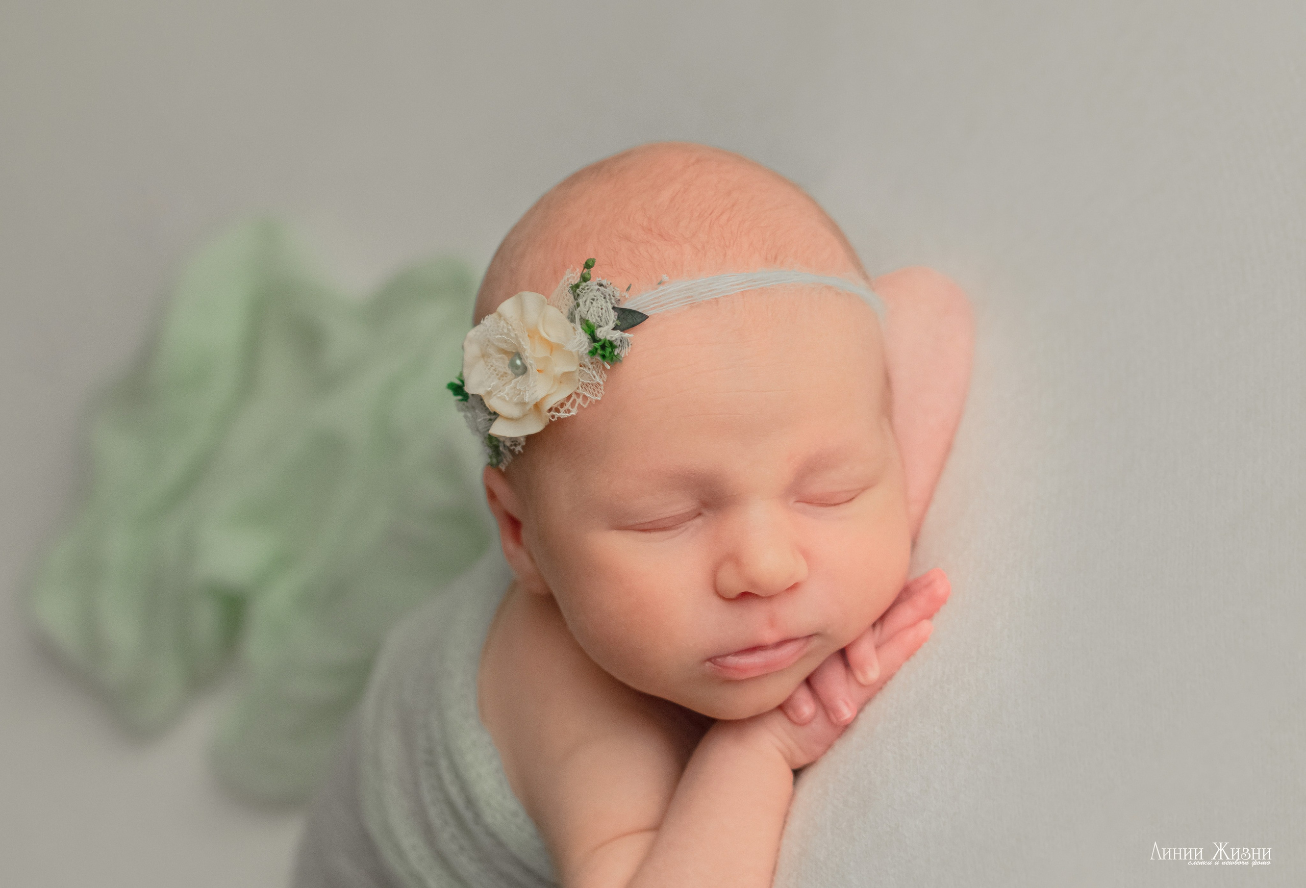 Анна 24 дня. Фотограф новорожденных в Нижнем Новгороде Сергеева Оксана