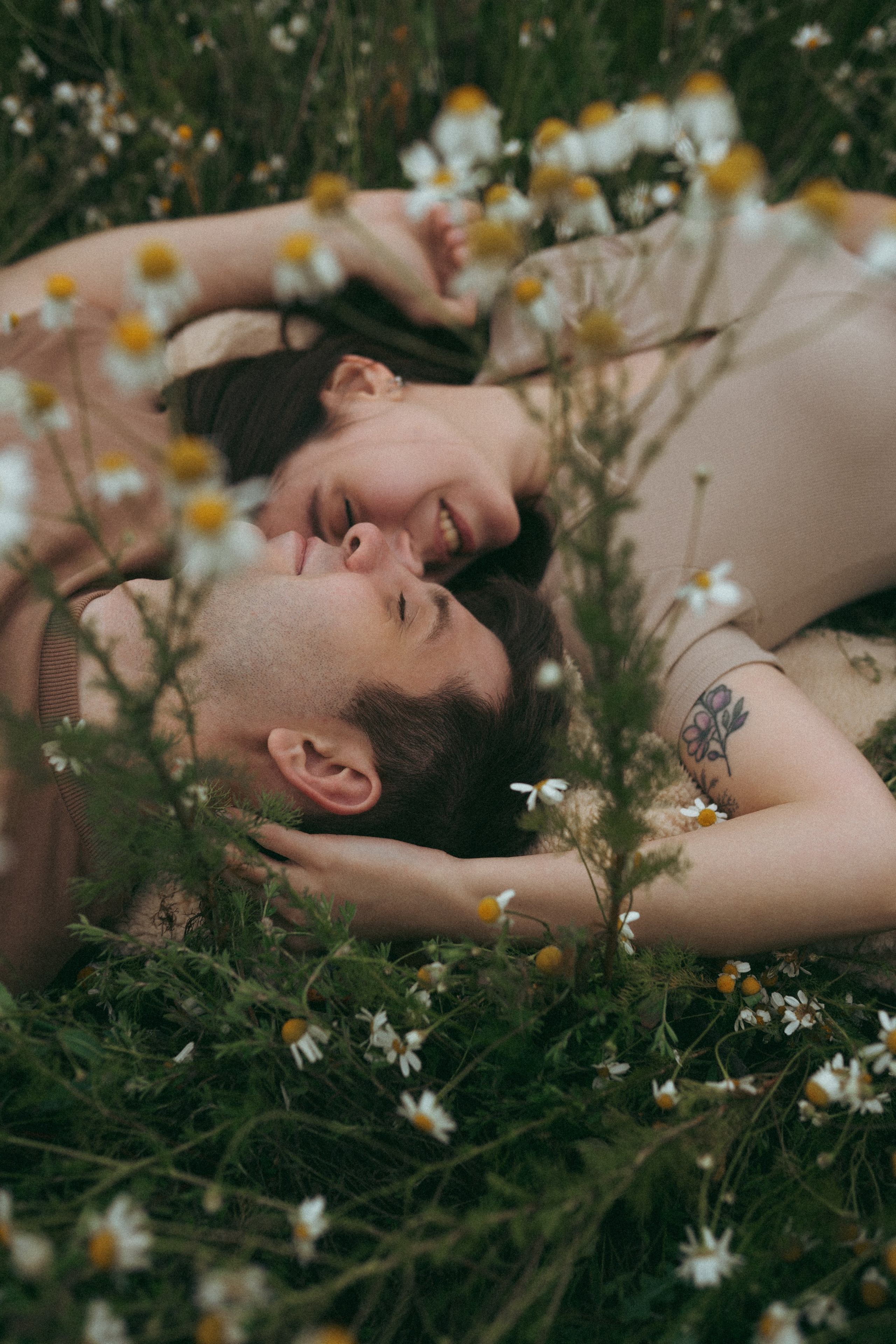 Ромашки. Фотограф Мария Зайчик