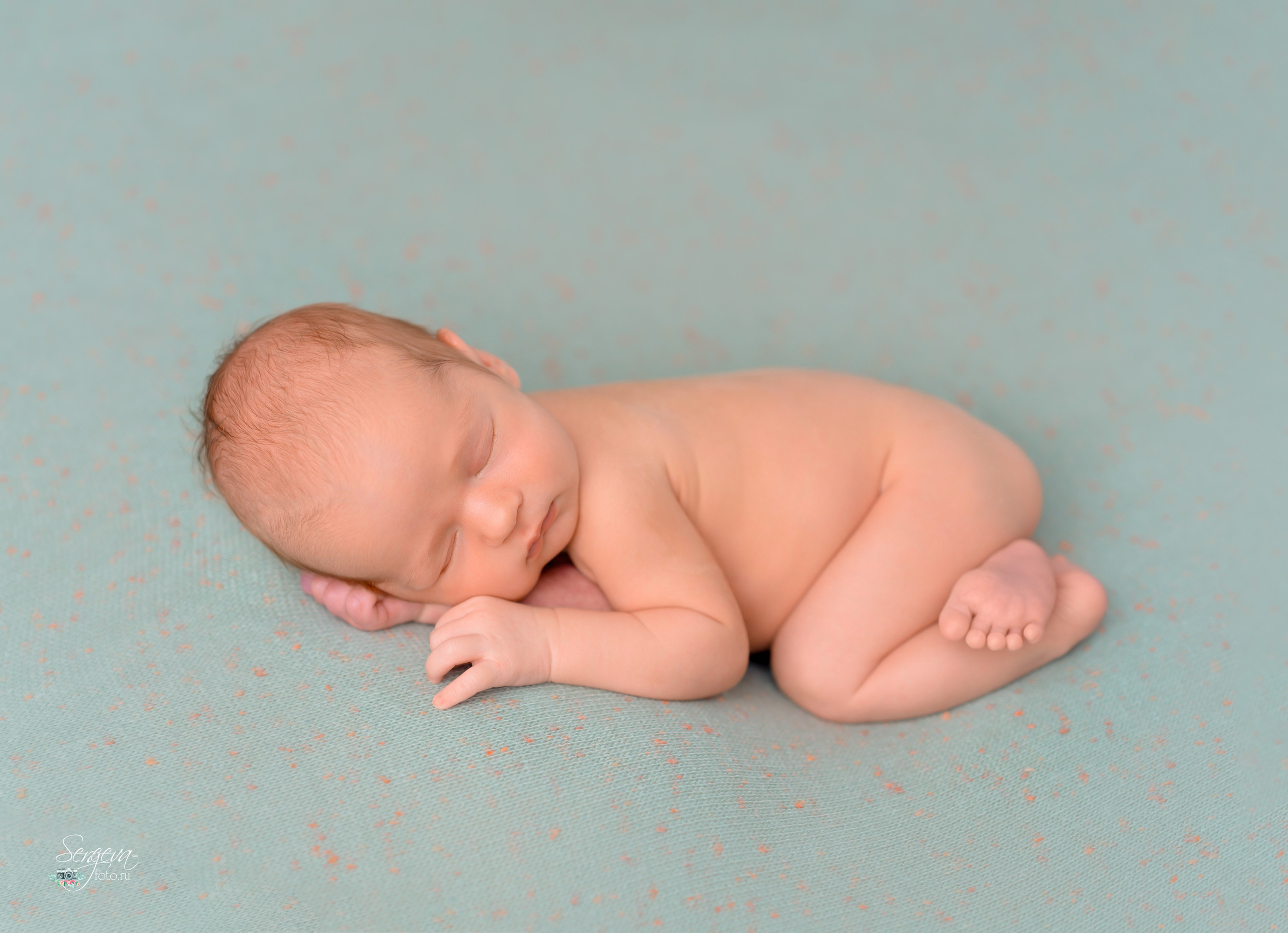Матвей 23 дня. Фотограф новорожденных в Нижнем Новгороде Сергеева Оксана