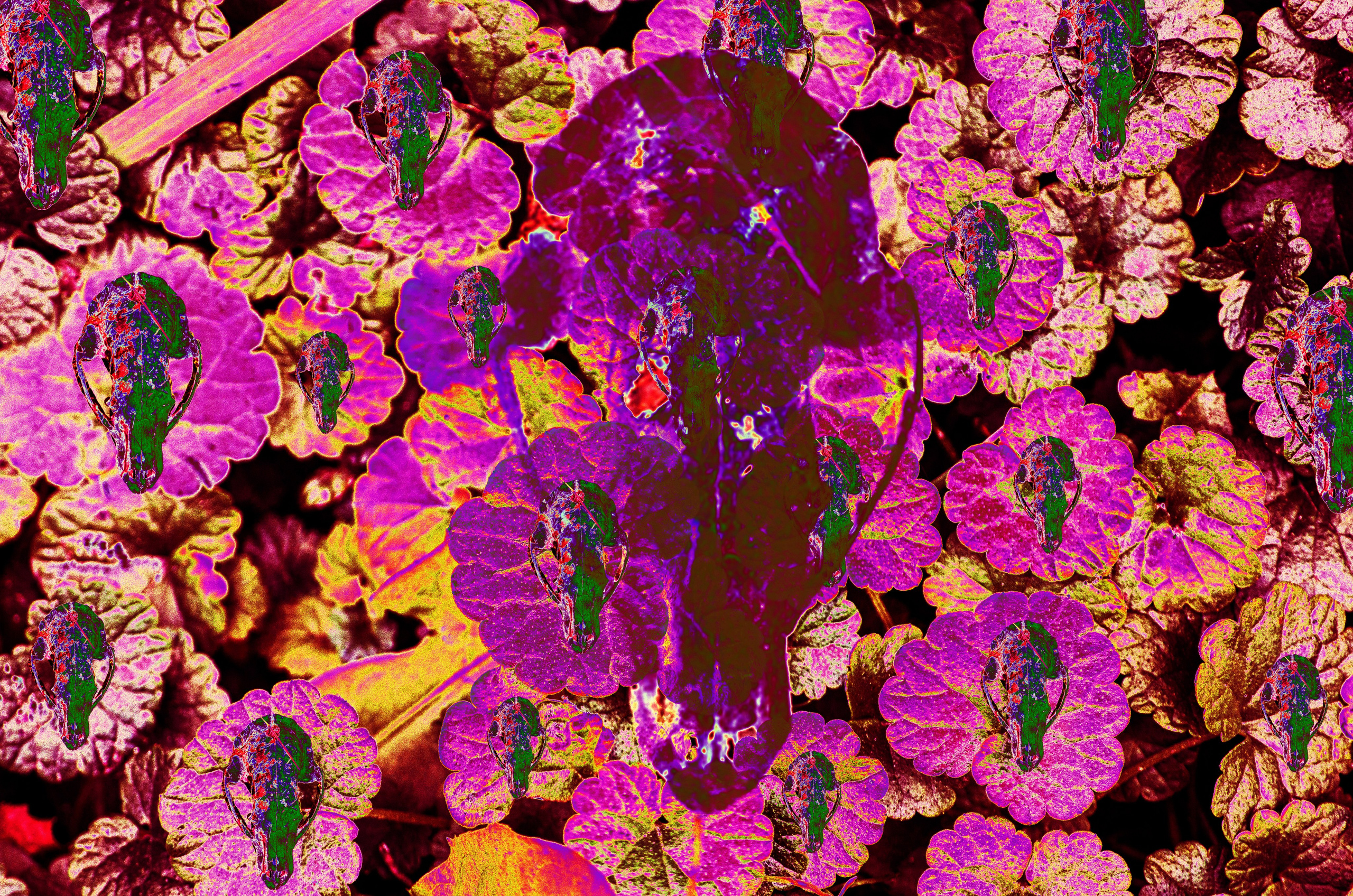 art, artist, photo, photography, photographer, contemporary art, talent, picture, pop art, gallery, фотограф, фотография, творчество, художник, рекламная съемка, творческая съемка, современное искусство, соврисск, совриск, современная фотография, творческая фотография, картины, попарт, поп арт, фото проекты, photo project, bag, сумка, cover song, обложка для музыкального альбома, обложка для книги, постер, картина