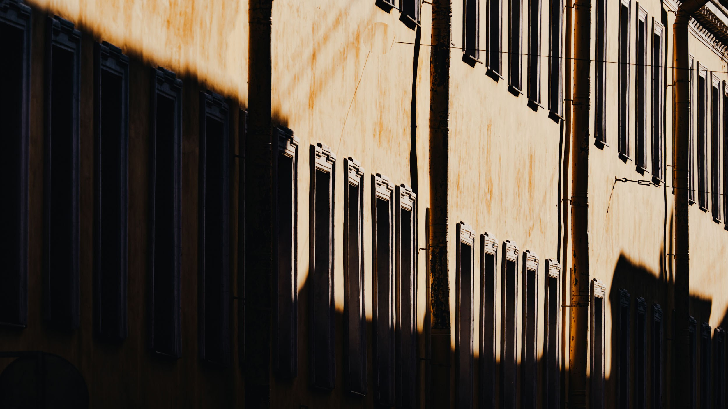 Saint Petersburg. The Andris