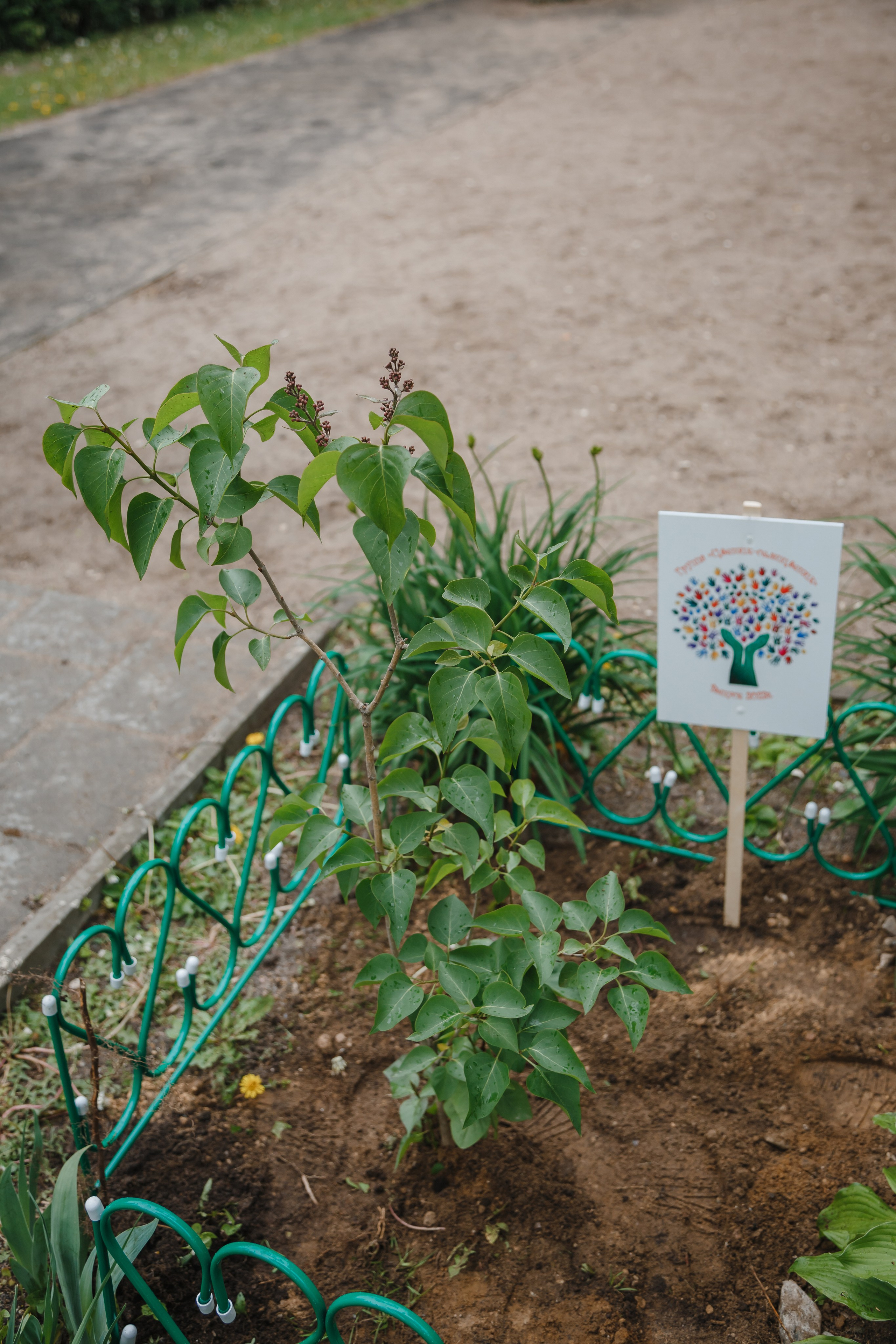 Выпускной в саду 2023. Семейный фотограф Николаева Ольга