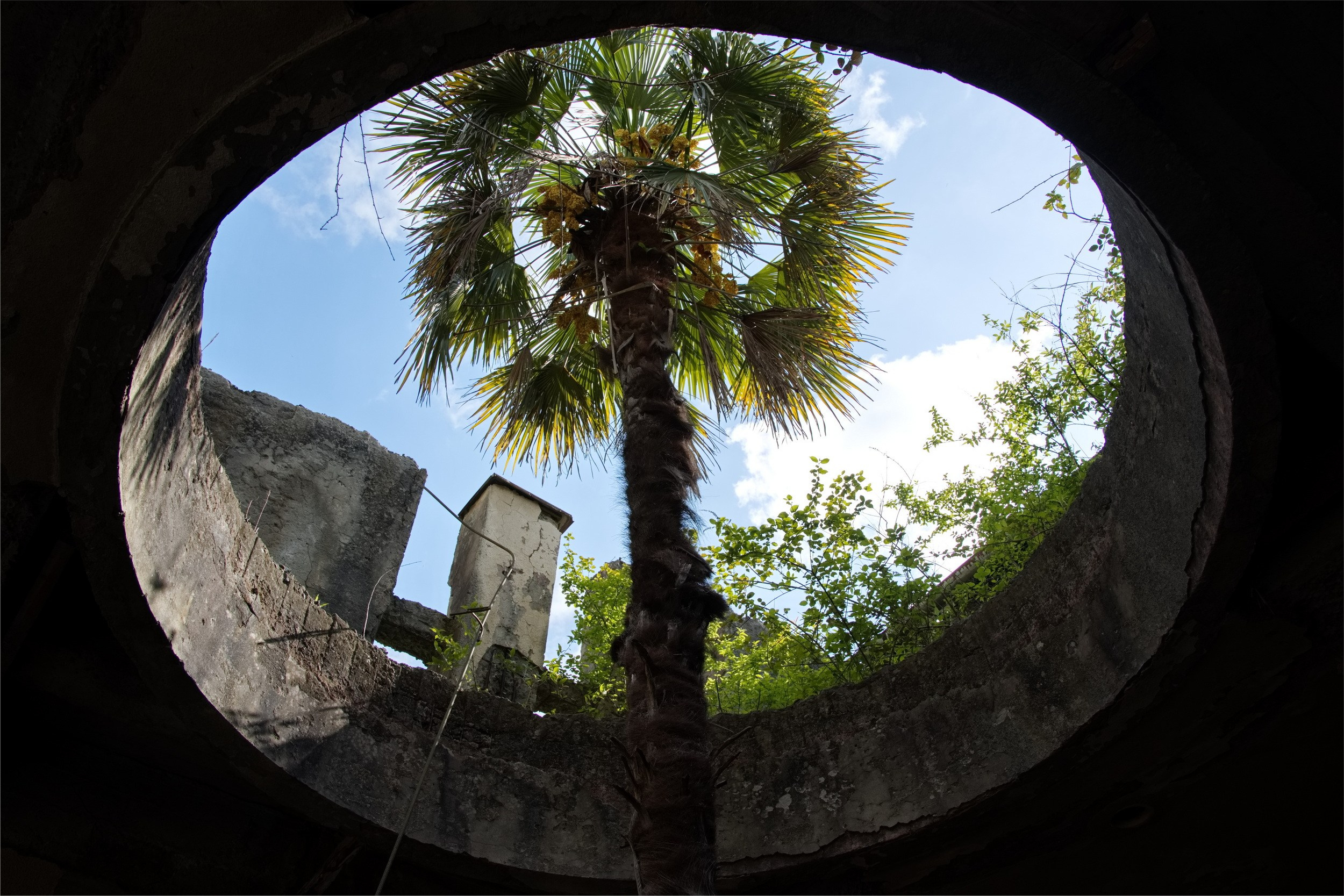 Путешествие по Абхазии в начале мая 2025 г. Вадим Шейдин