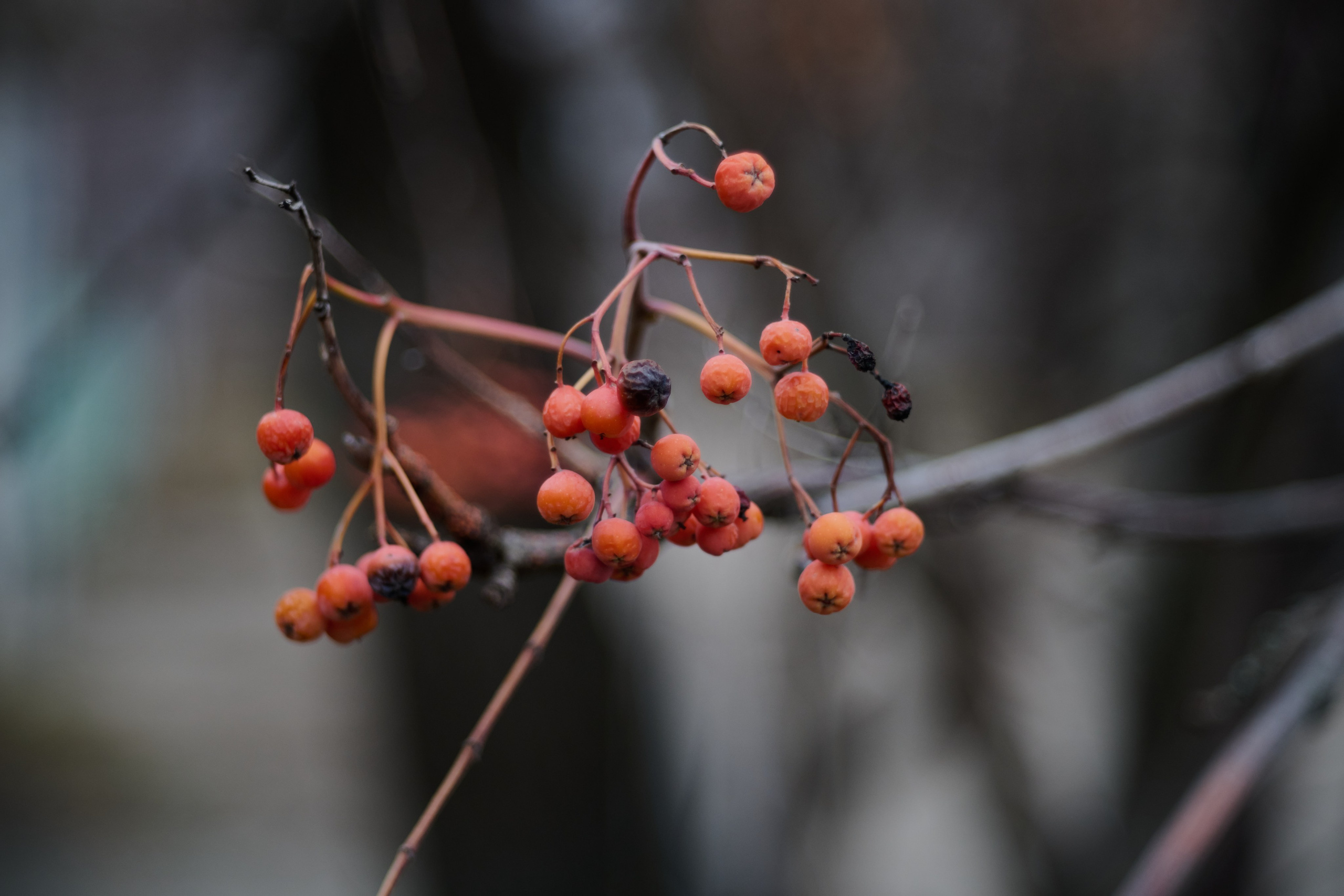 Лисичанск. Луганская область. Фотопроект «Территории»