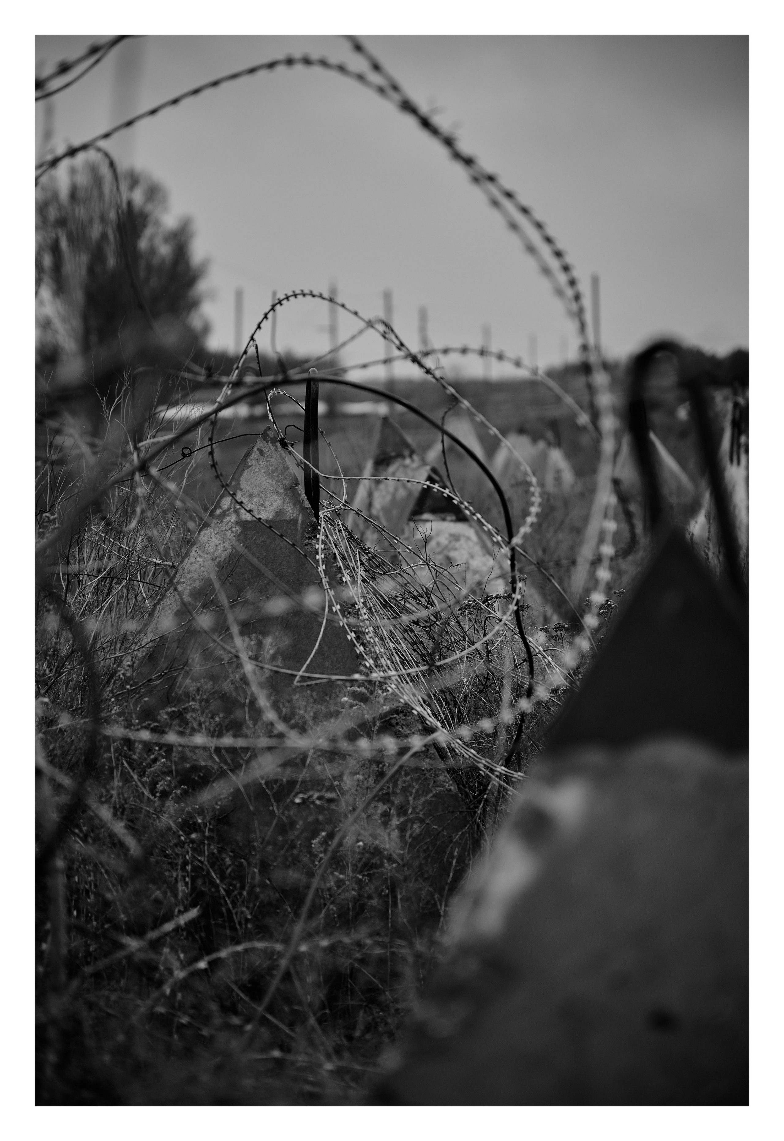 Фотопринты А3. Фотопроект «Территории»